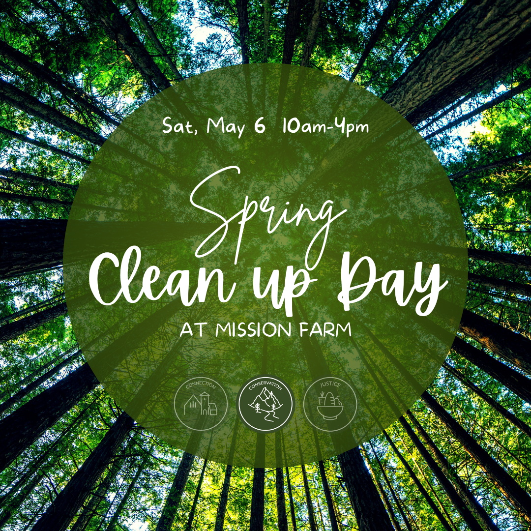 Spring Clean Up Day