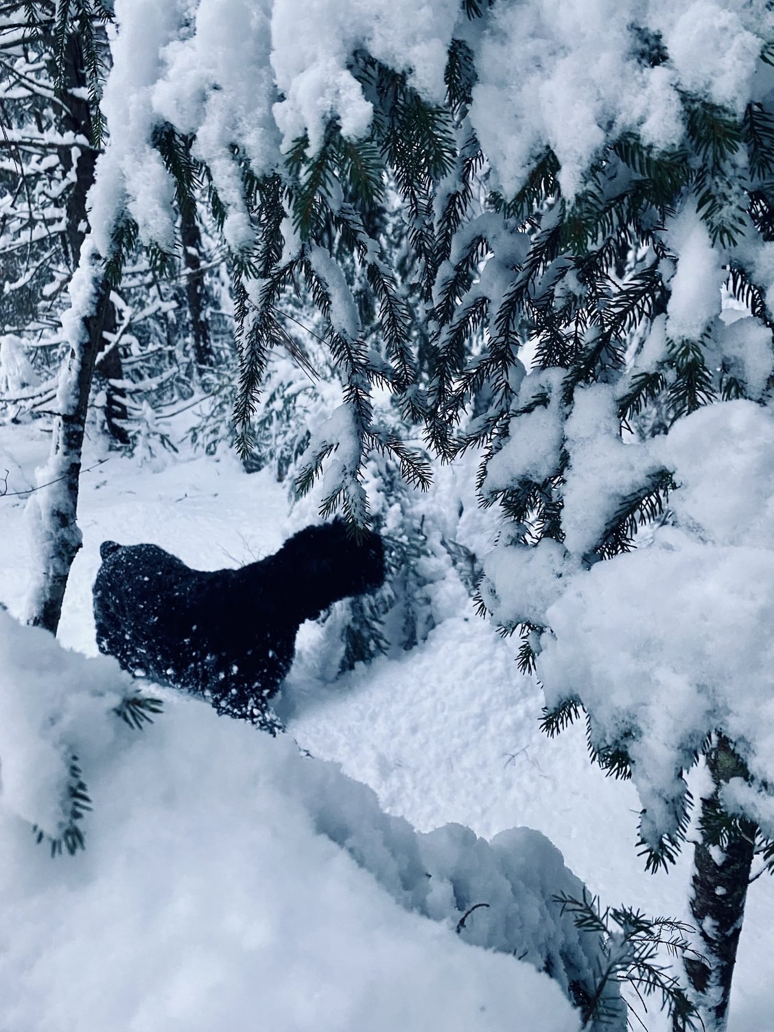 The Graze V.139: Undercurrents