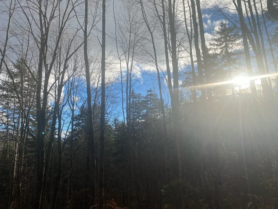 The Graze V.140: What Matters Most?