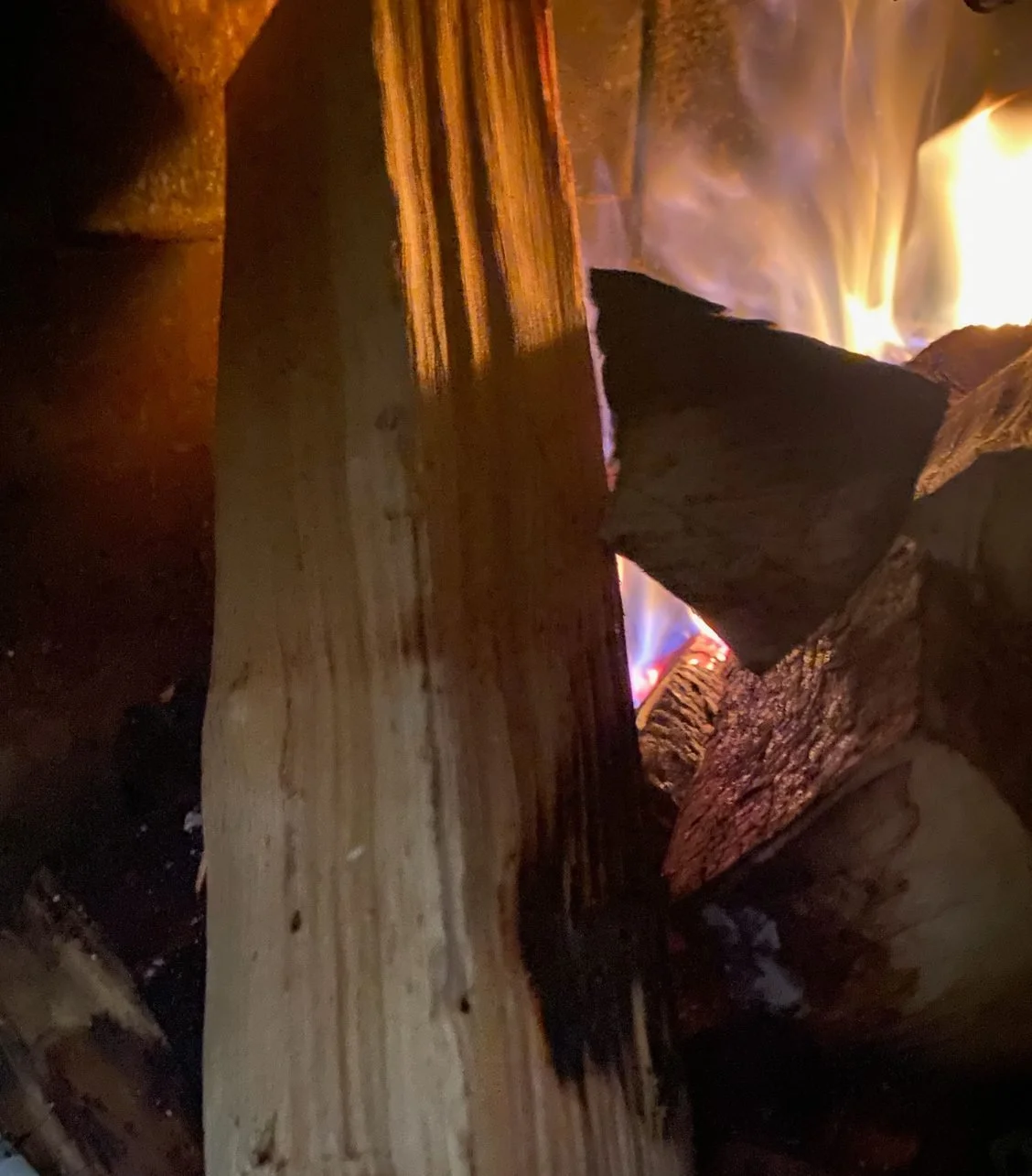 The Graze V.142: A Dream