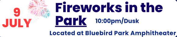 Fireworks in the Park