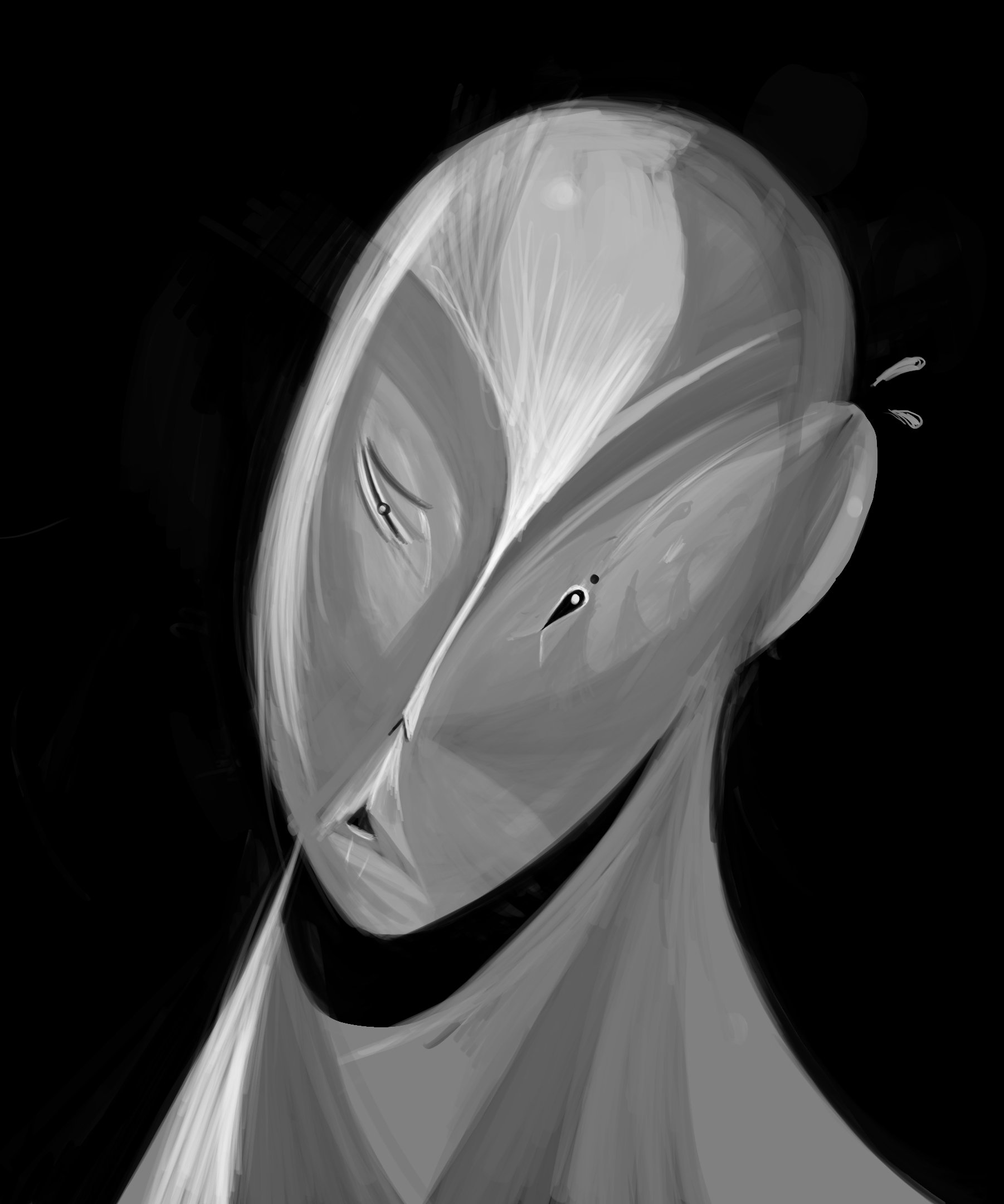 fisheye copy.jpg