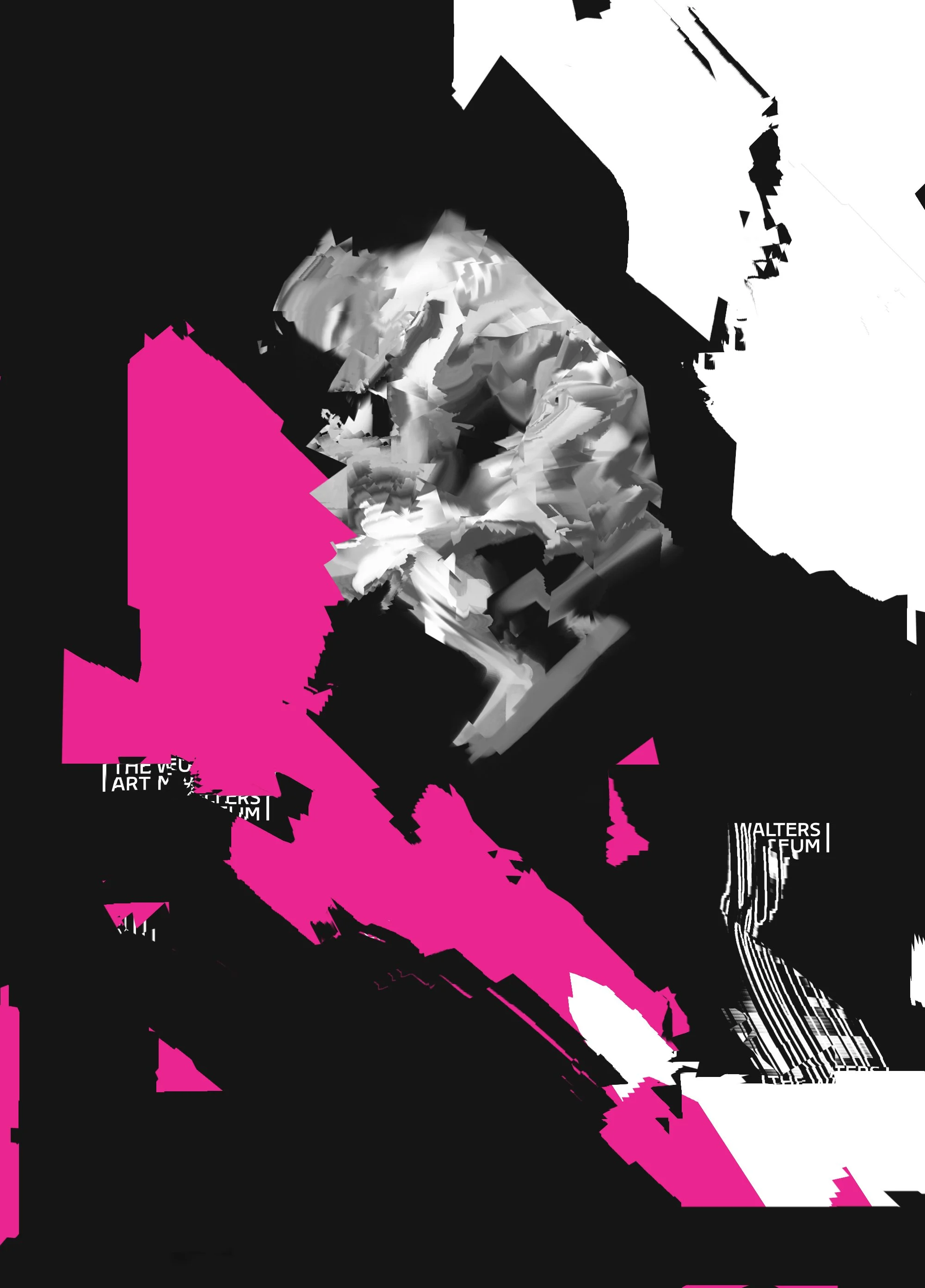 POSTER DESIGN | Walters Art Museum