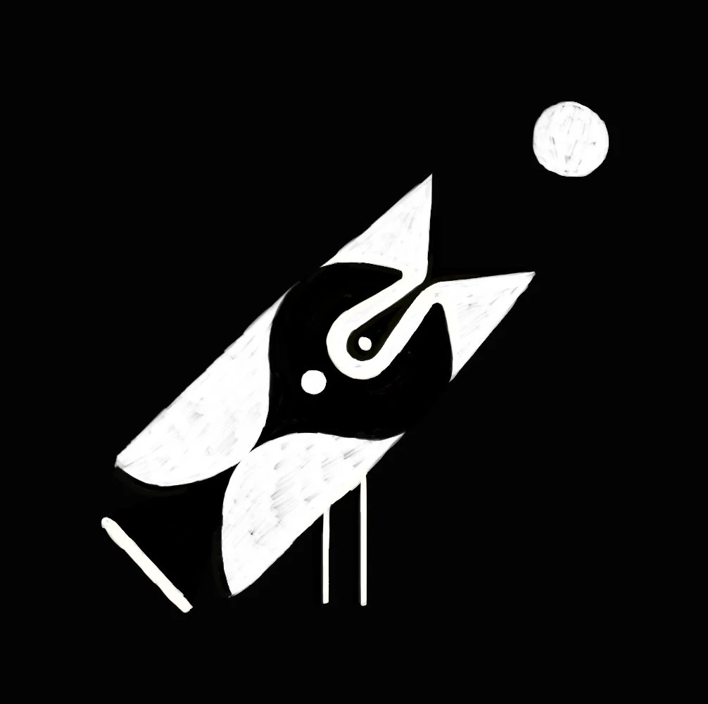 PERSONAL WORK | Bird Pen