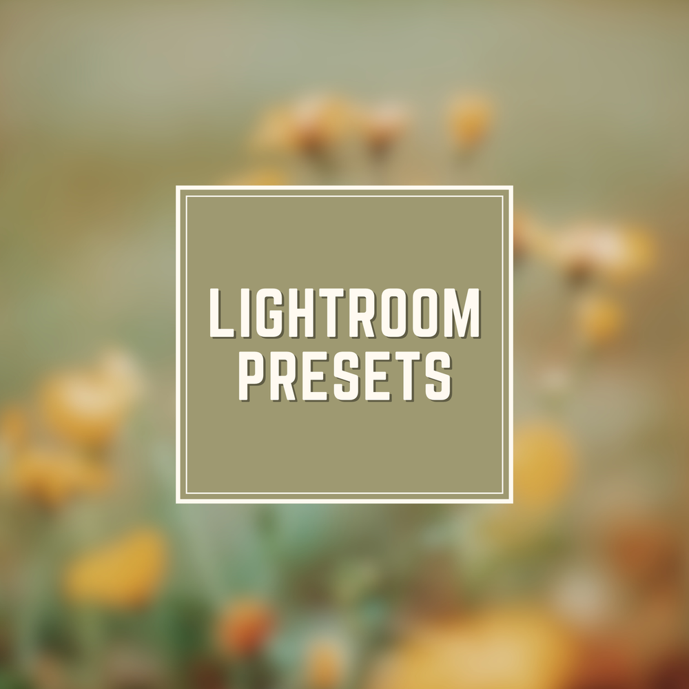 Lightroom presets logo