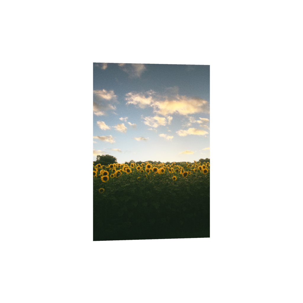 ptq_1_3_0_0_4378_6567_0_false_ffffff_0_0_.png