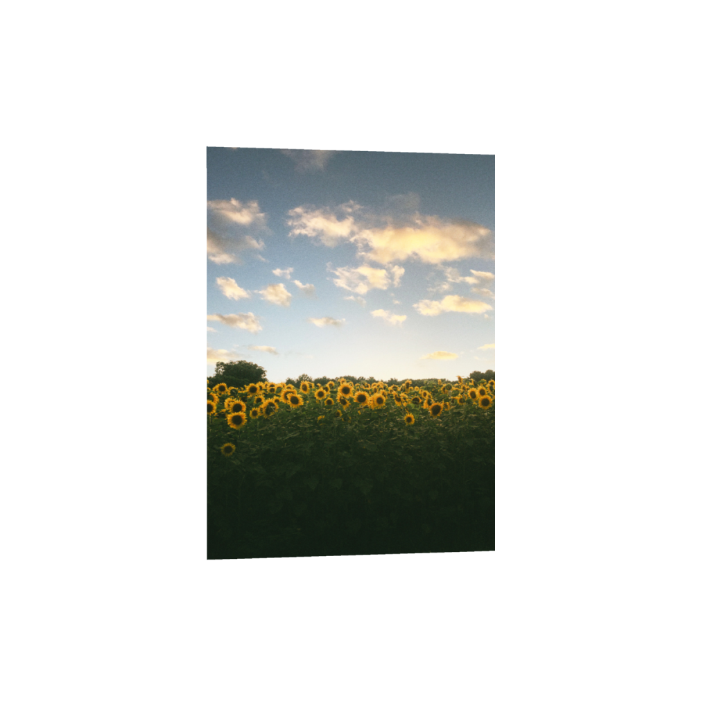 ptq_1_7_0_218_4378_6129_0_false_ffffff_0_0_.png