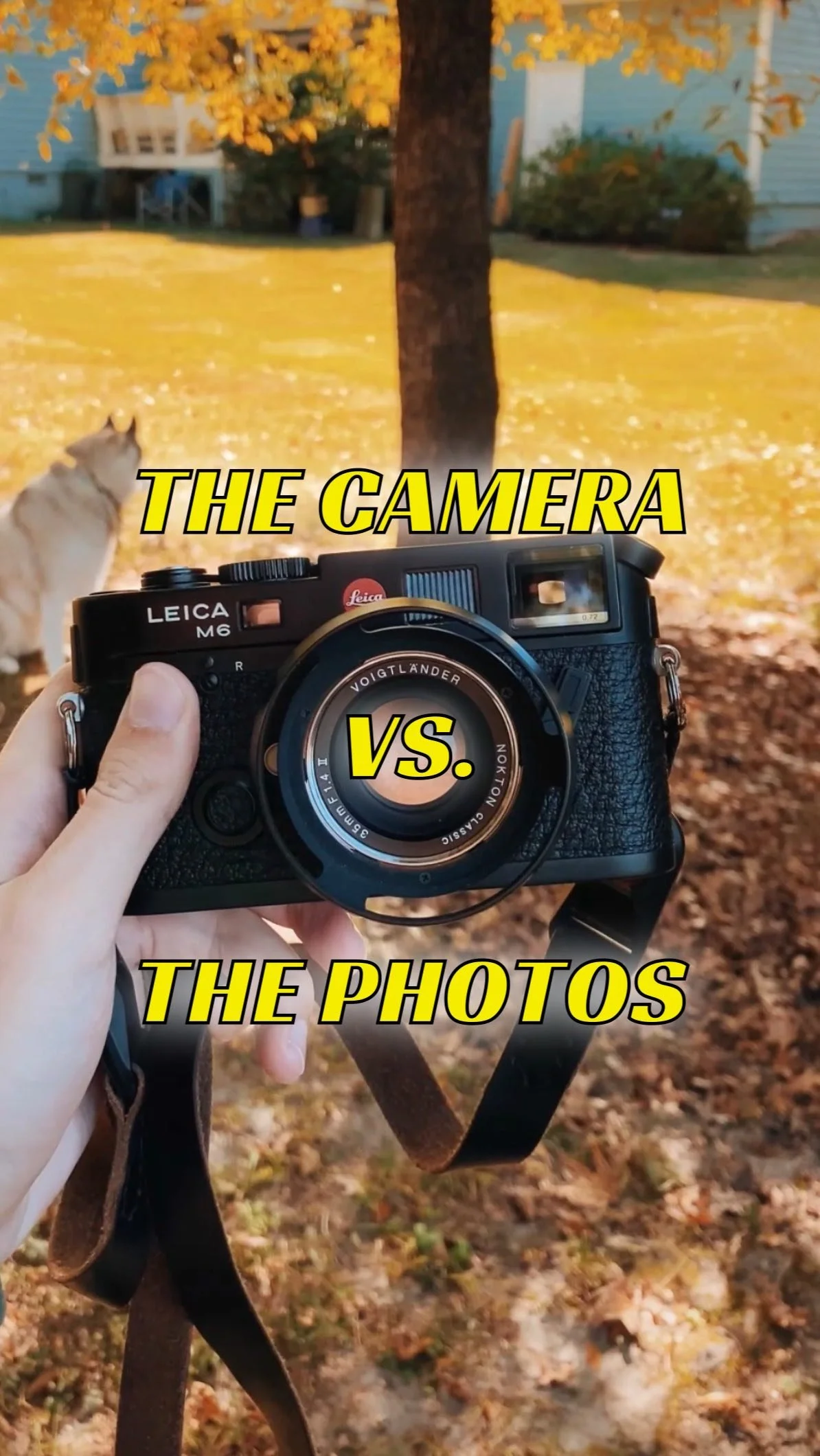 The film camera vs. the photos
Do you have a favorite? :)