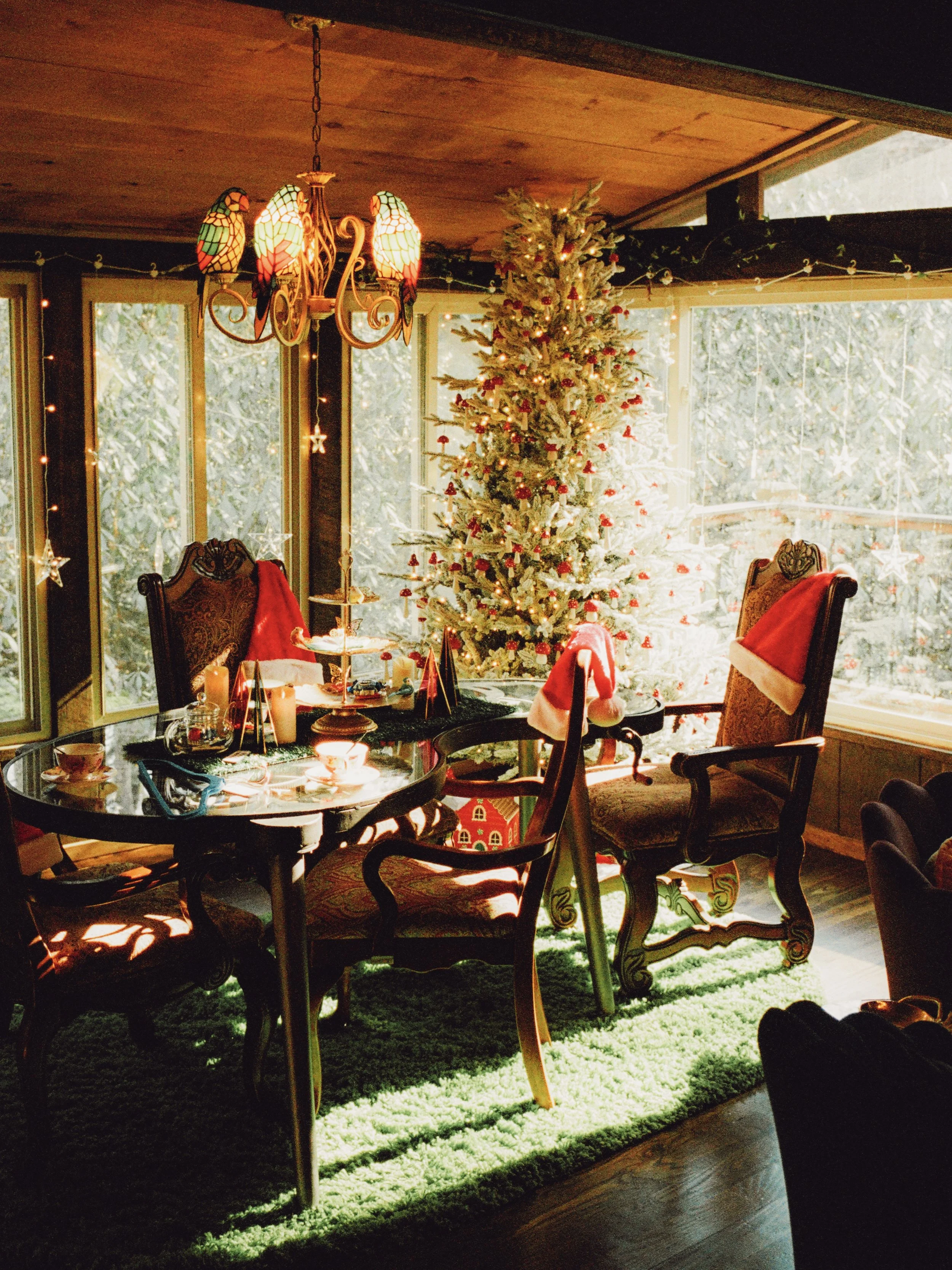 Gifts for Photographers: What I Actually Use (From a Film Photographer)