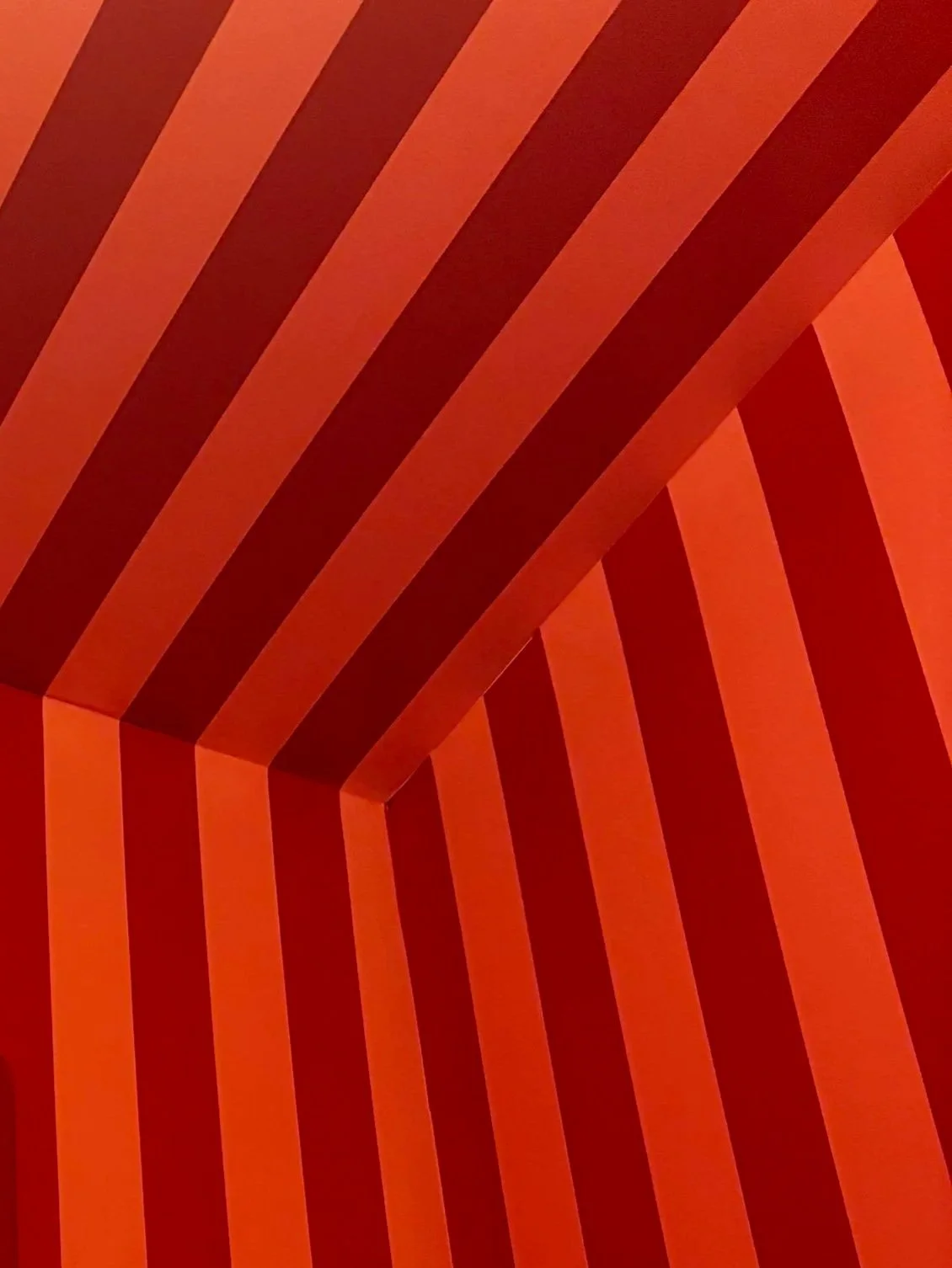 A Year in Chicago: The Local Spots I’ve Fallen For