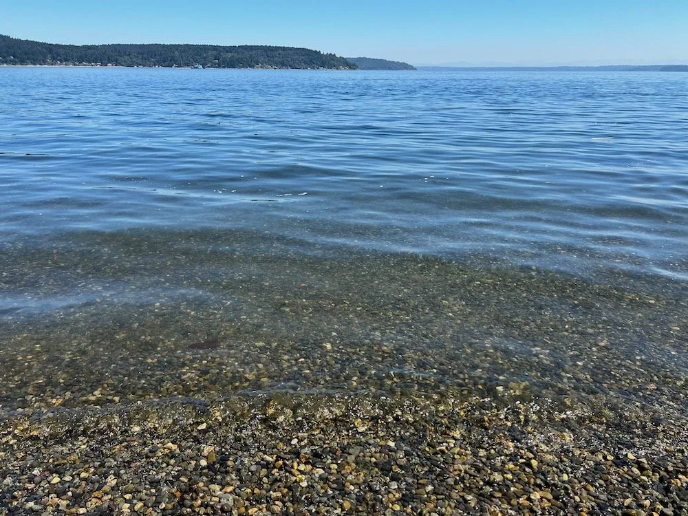 Owen-Beach-Tacoma-Sand.jpeg