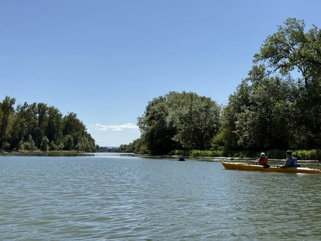 lake river ridgefield washington-kayaking-kayak rental experiences.jpeg