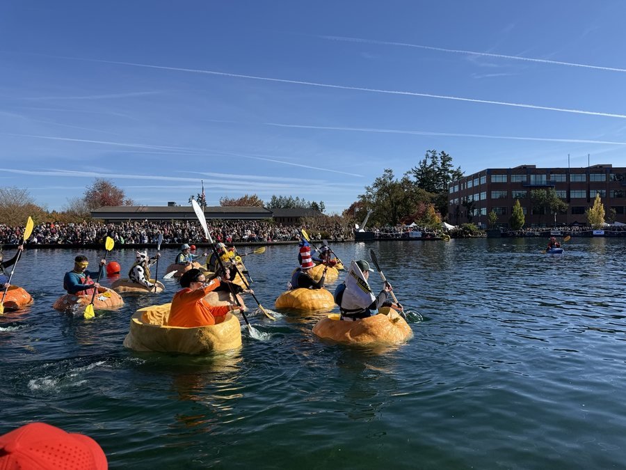 kayakers in pumpkins racing at west coast pumpkin regatta