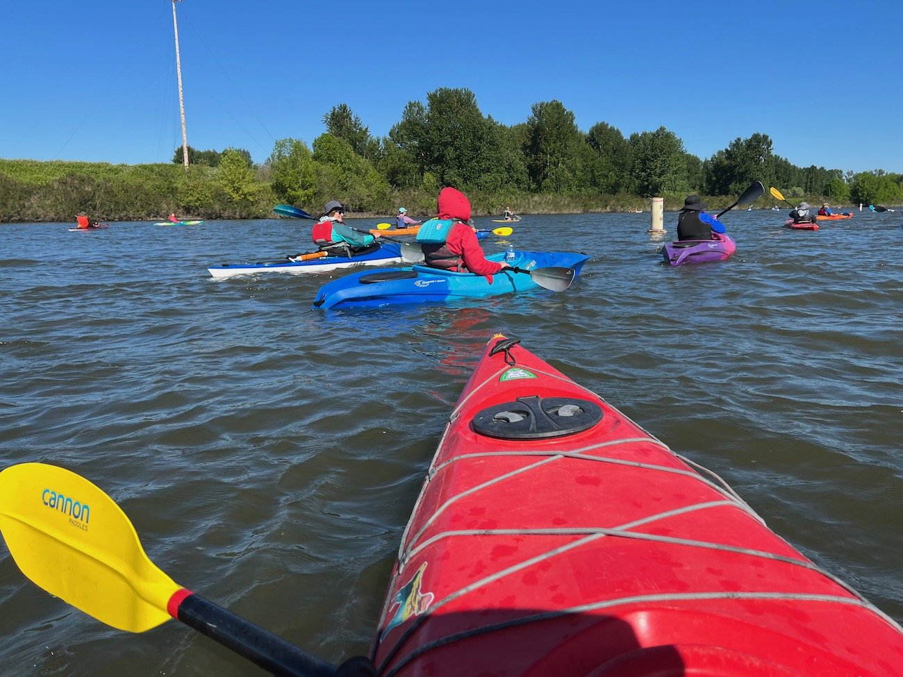 Kayaking the Pacific Northwest — Flatwater Kayak Club