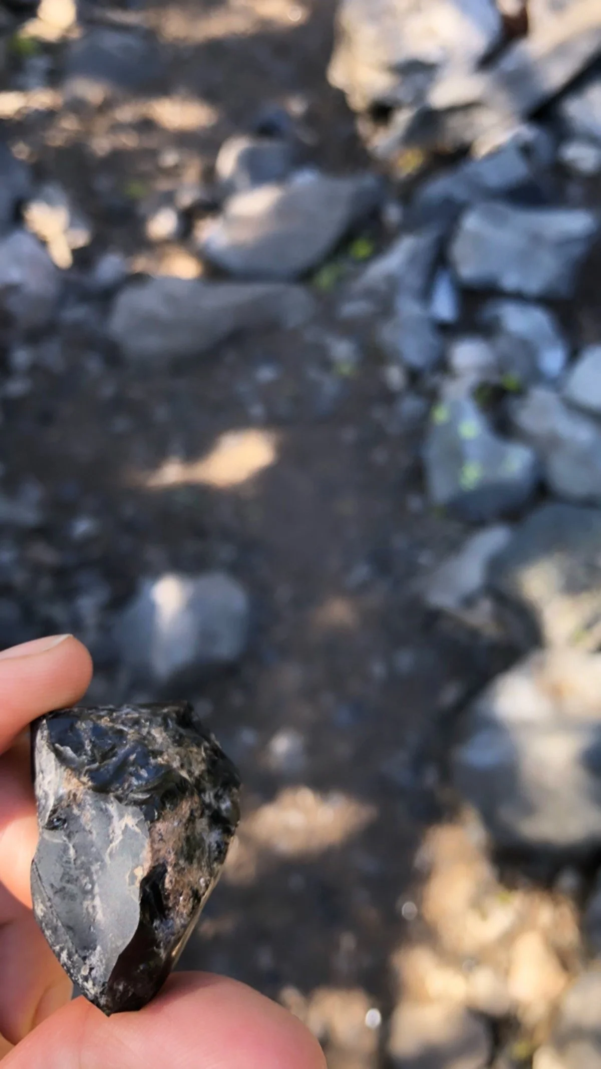 Natural obsidian lava rock at Paulina Lake