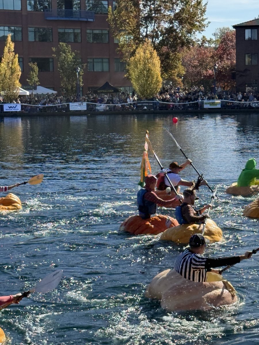 west coast pumpkin regatta with crowds