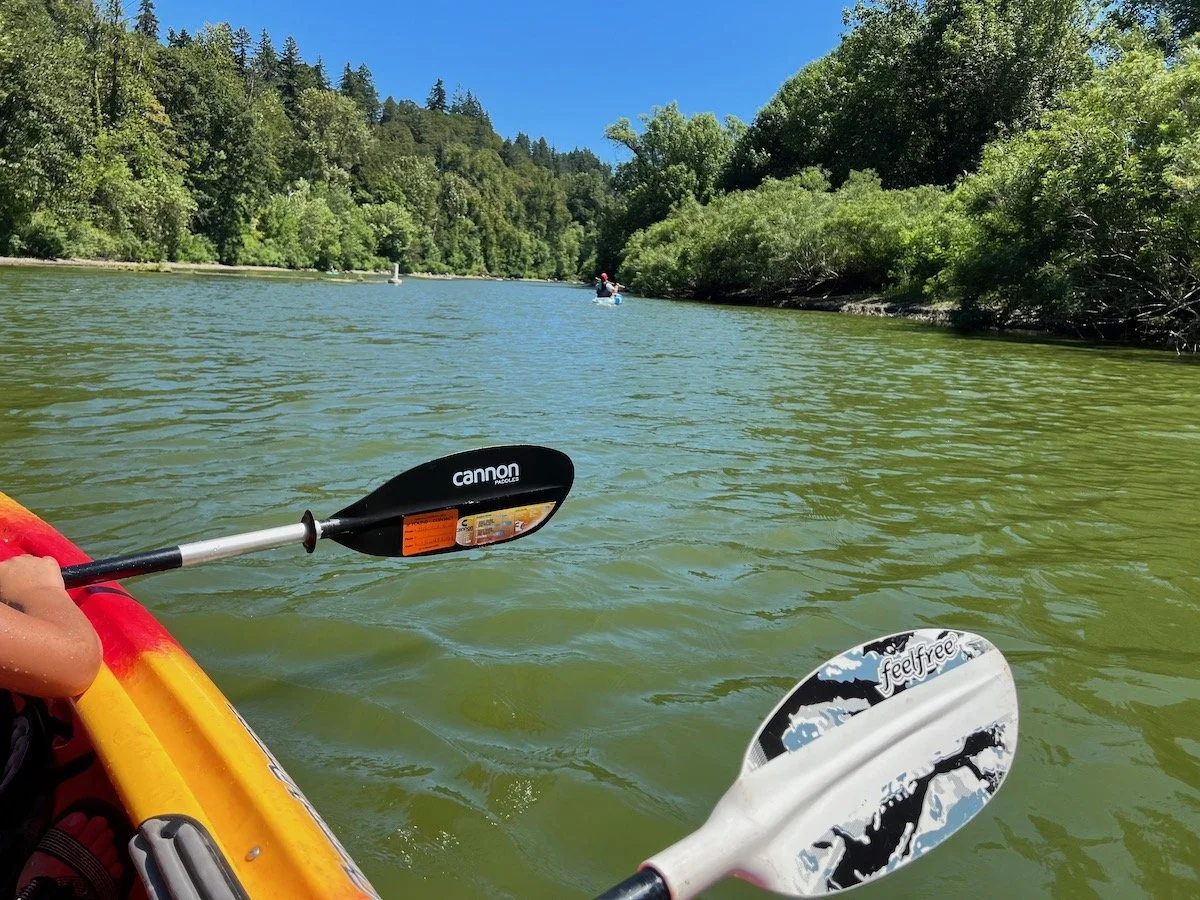 Flatwater Paddles