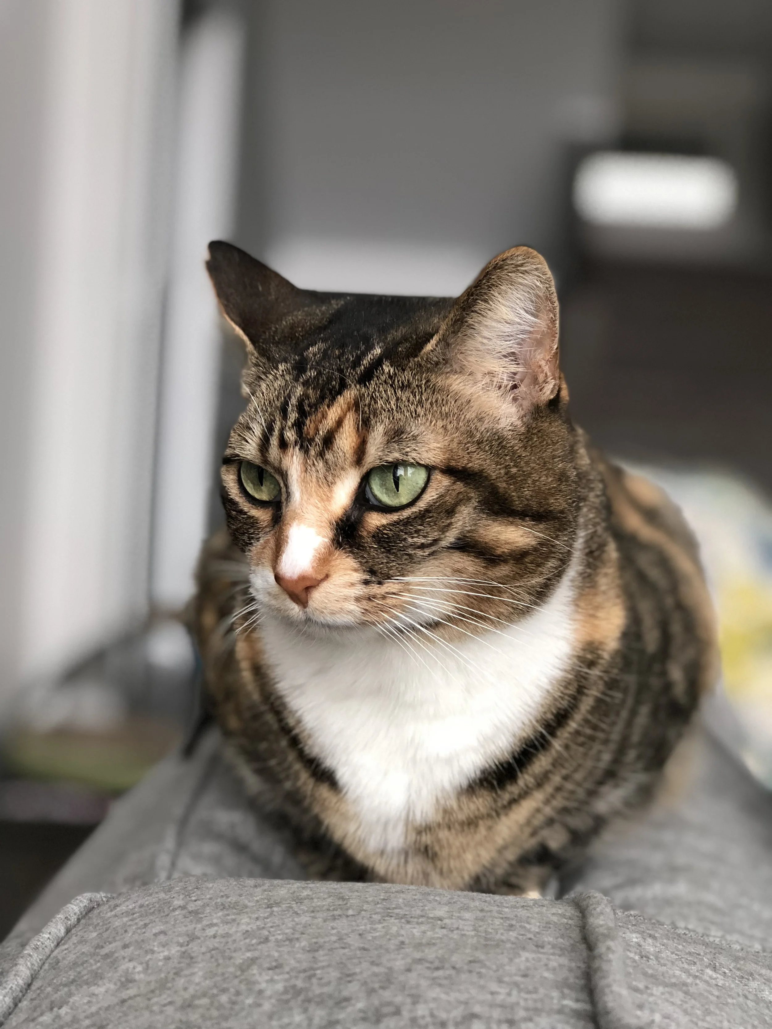 My petite sweetheart, Zita