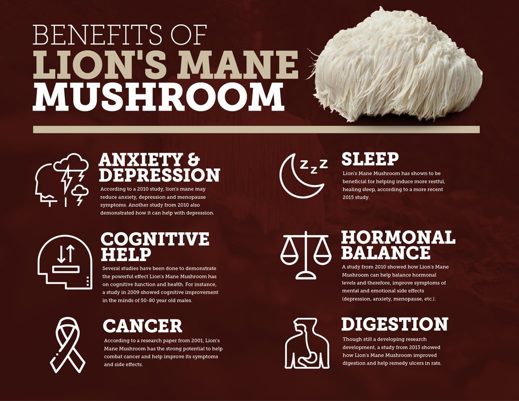 the-benefits-of-lion-s-mane-mushroom.jpg