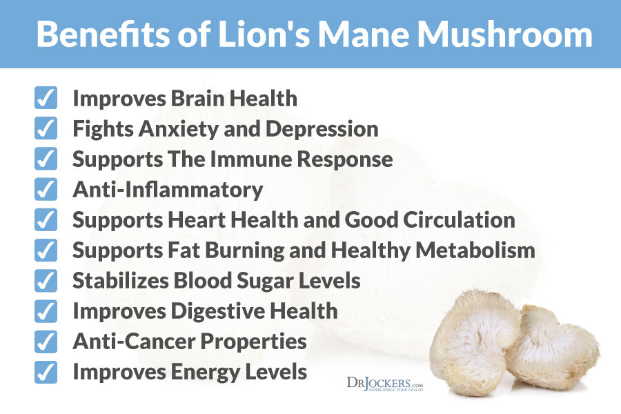 lionsmanemushroom-benefits-1.jpg