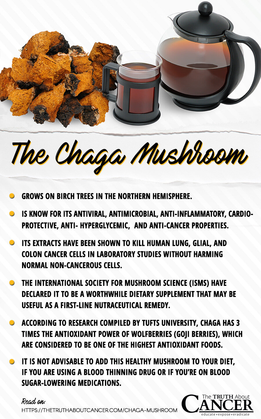 chaga-mushroom-facts-2.jpg