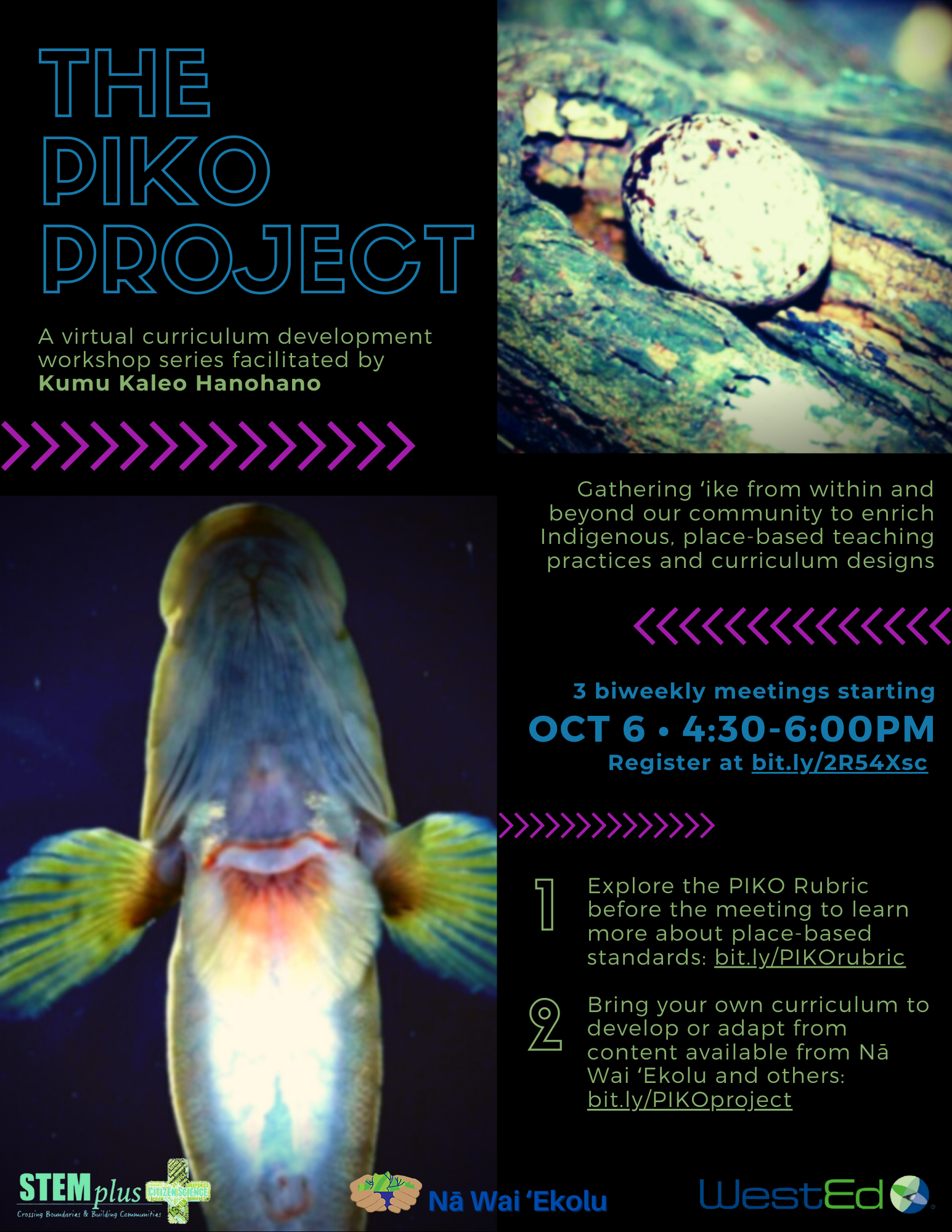 2020 PIKO Project Flyer.png
