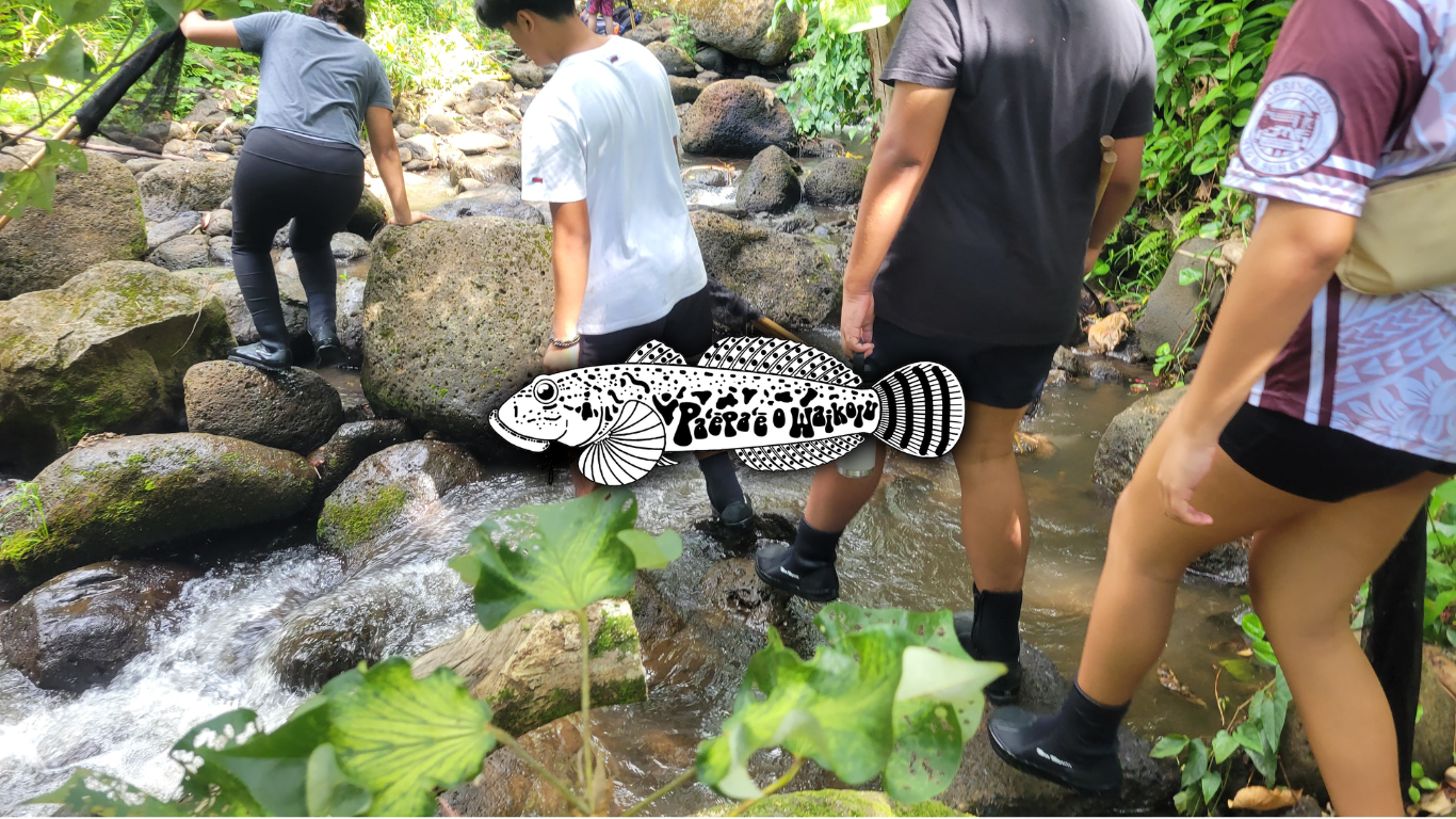 web banner (5).png