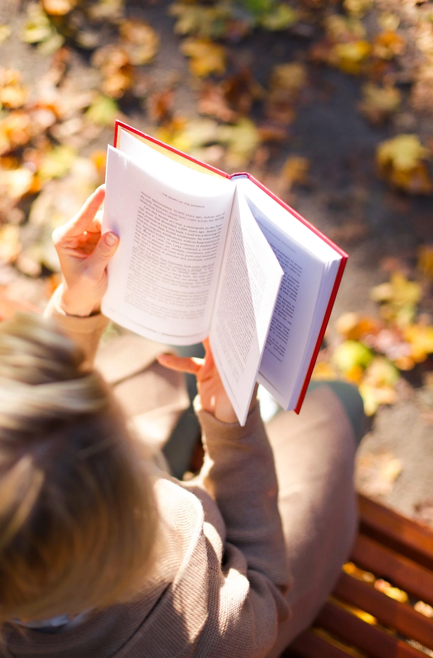 November Book Club - Rolling blackouts: Dispatches from Turkey, Syria, and Iraq