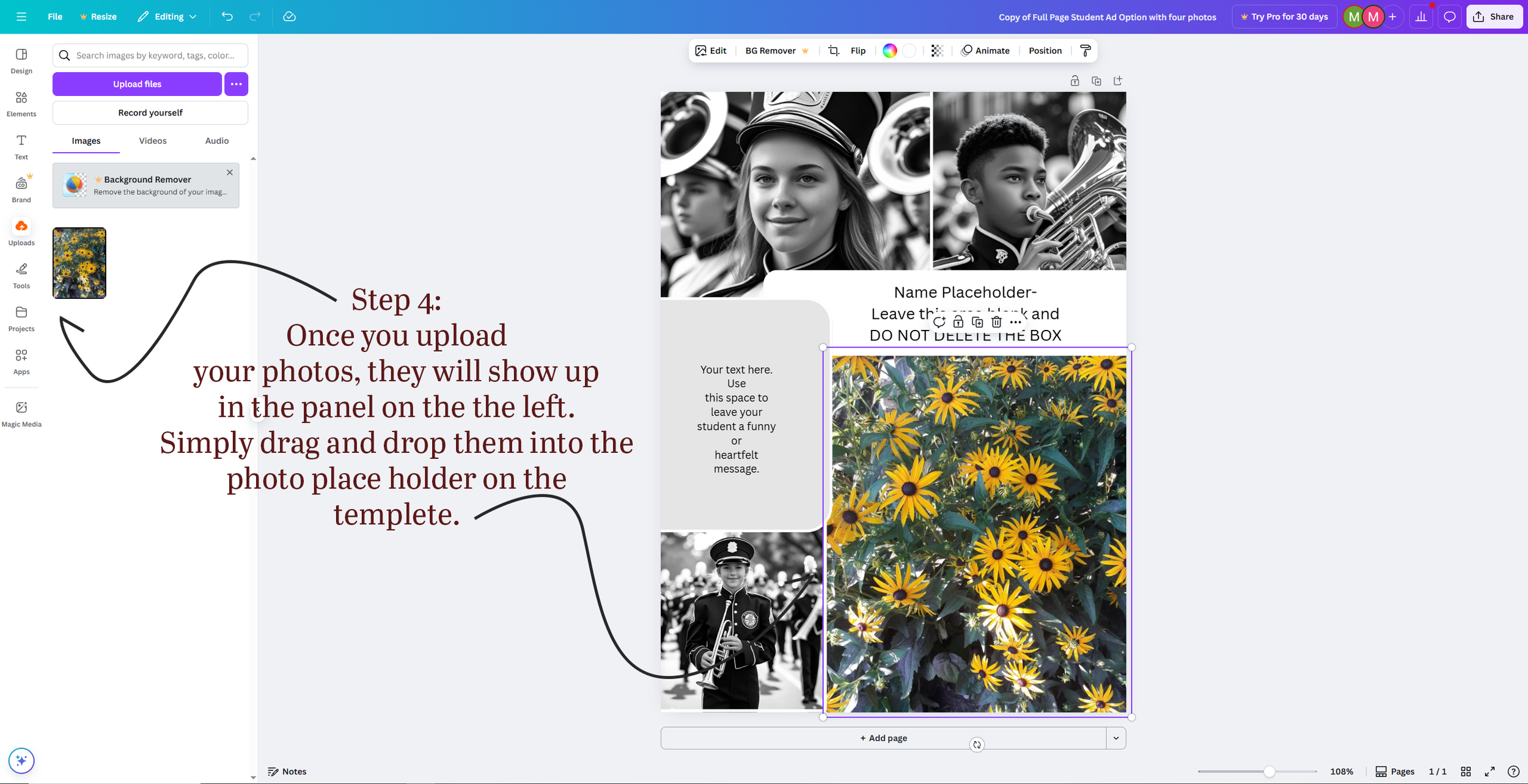 Canva Step 4.png