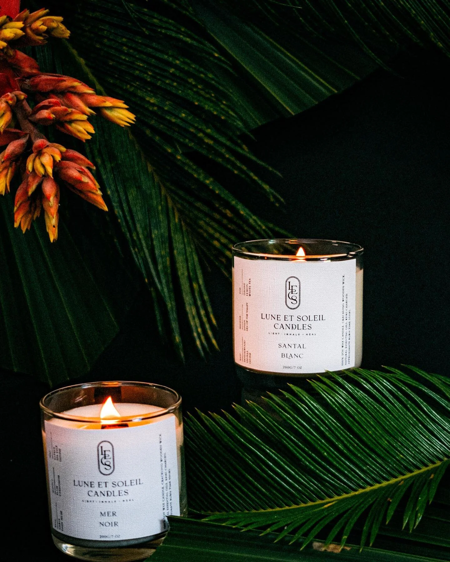 Feel the warmth of our candles in this Tropical Setting created by @_moonflowerdesign_ 🌴🌺

#soywaxcandles #handcrafted #womanownedbusiness #supportsmallbusiness