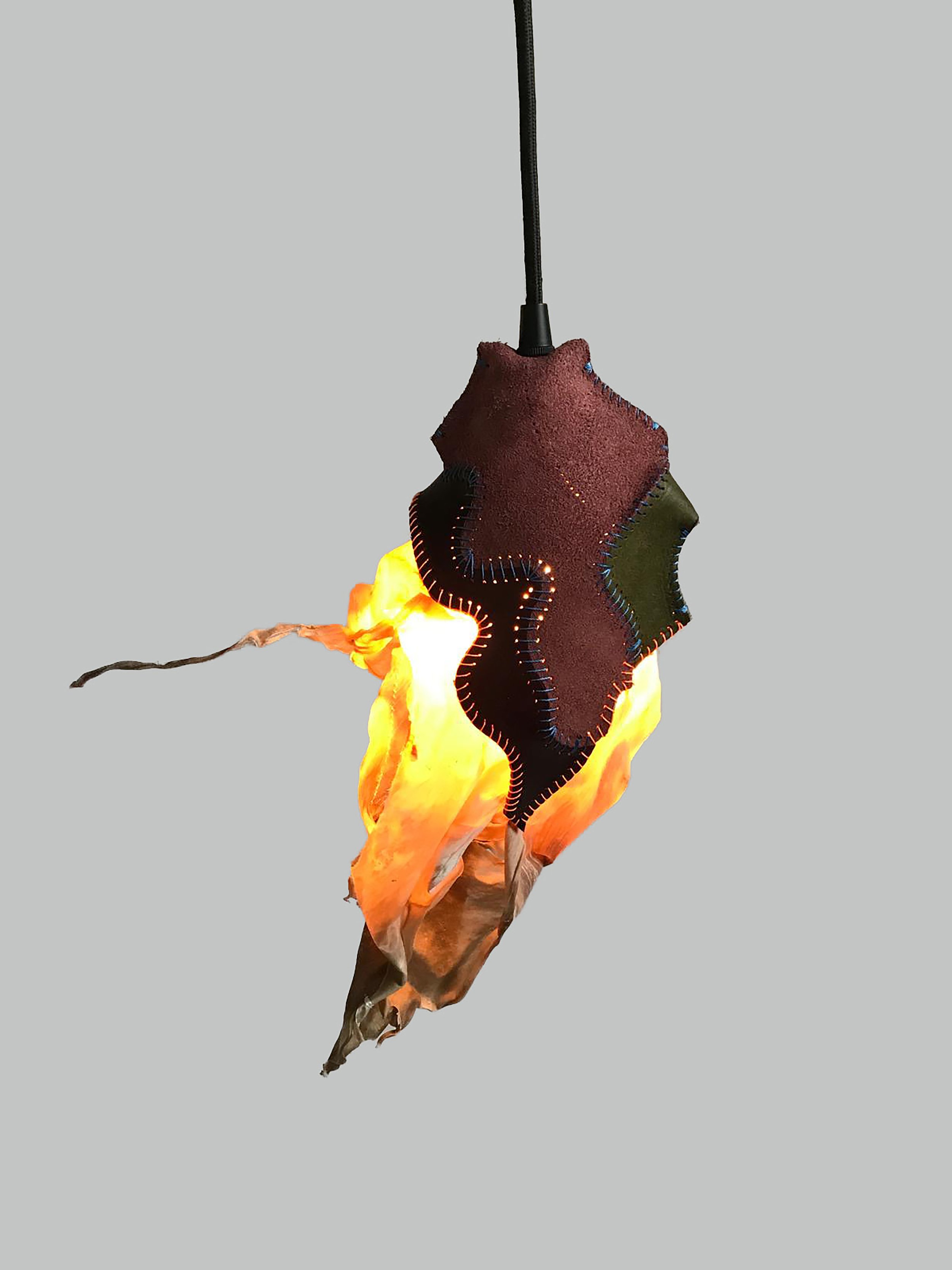 Chrysalis_.jpg