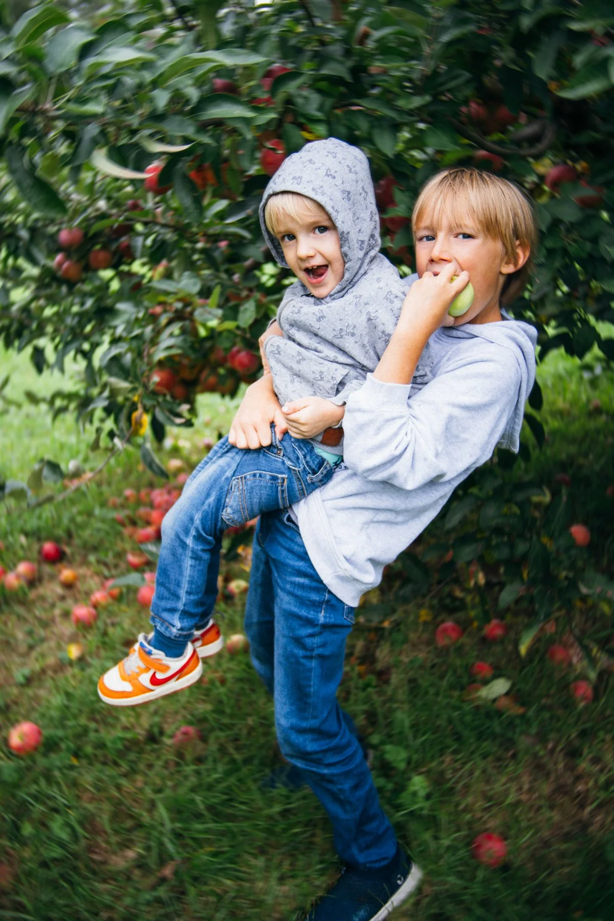 apple_picking_web-01.jpg