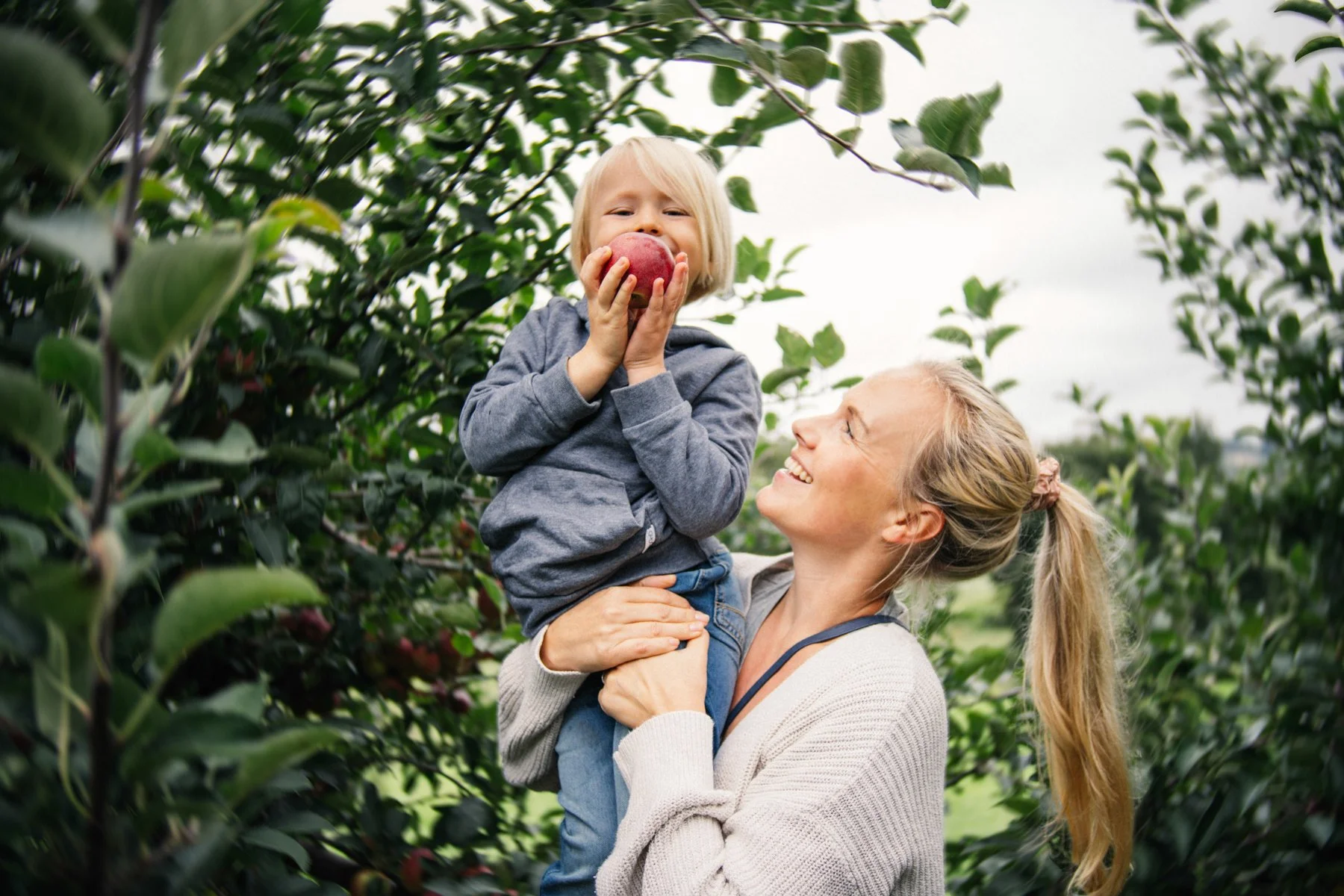 apple_picking_web-02.jpg
