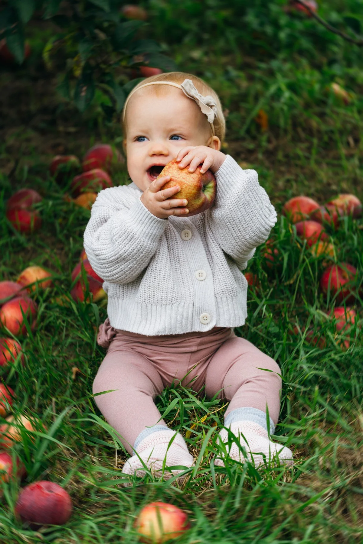 apple_picking_web-13.jpg