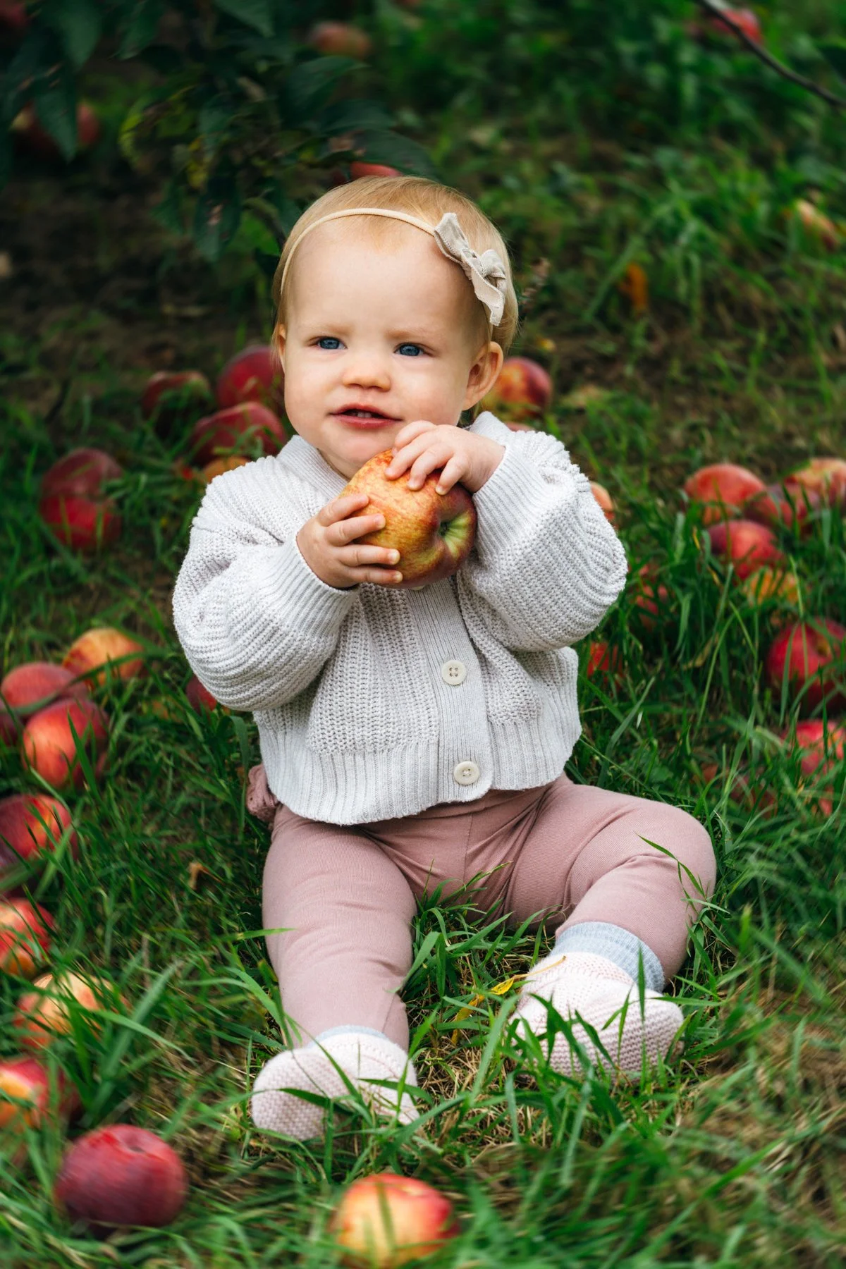 apple_picking_web-15.jpg