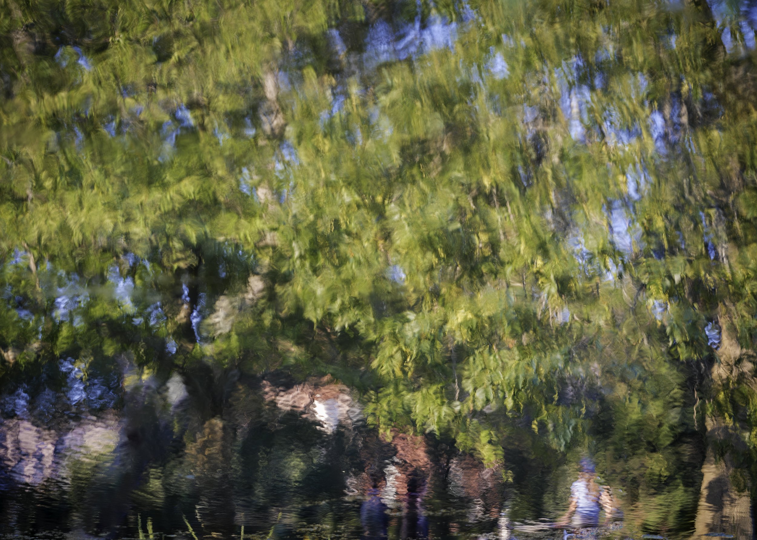 ellen_anton_engagement-17.jpg