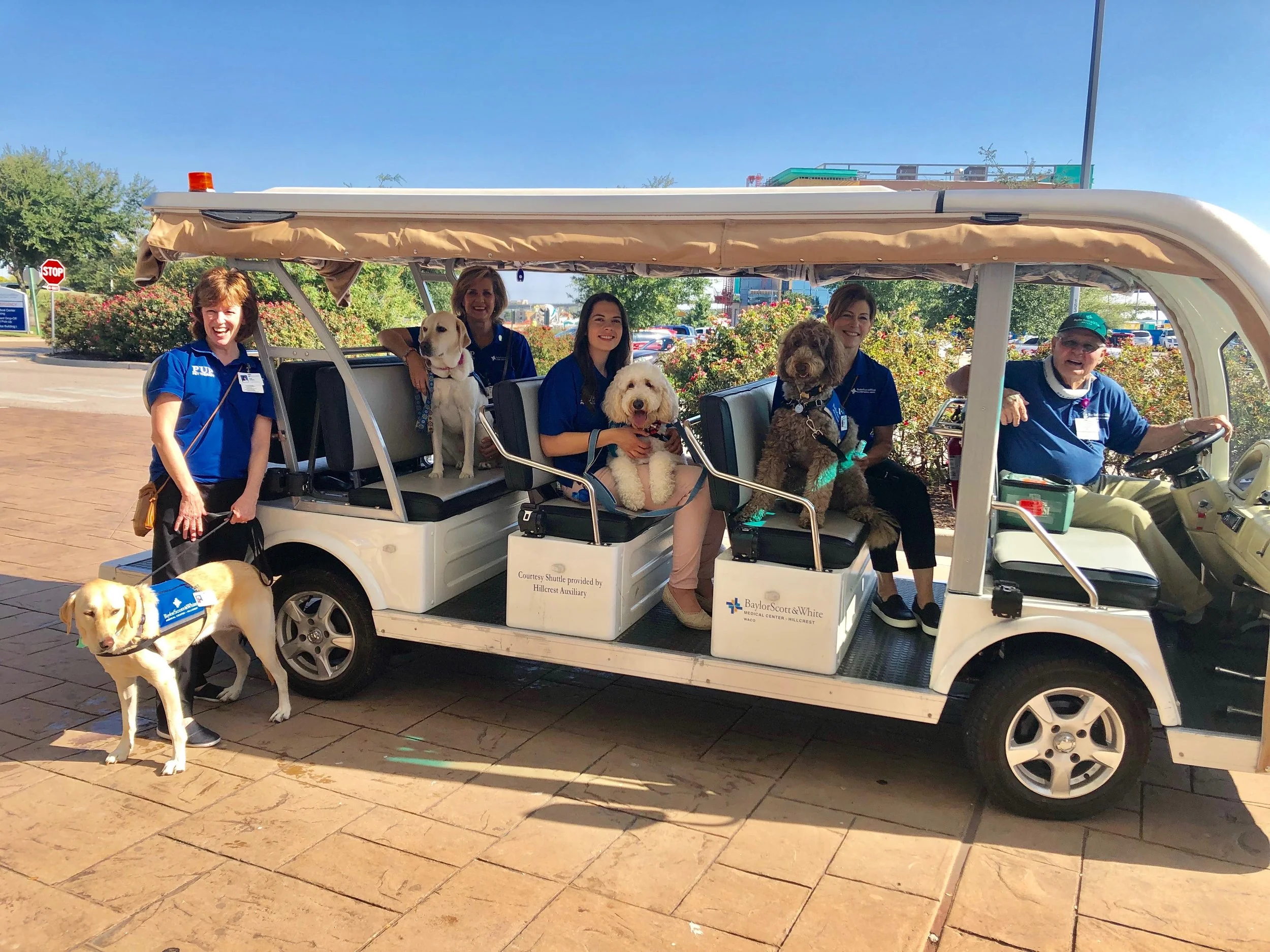 PUP Therapy team.jpg