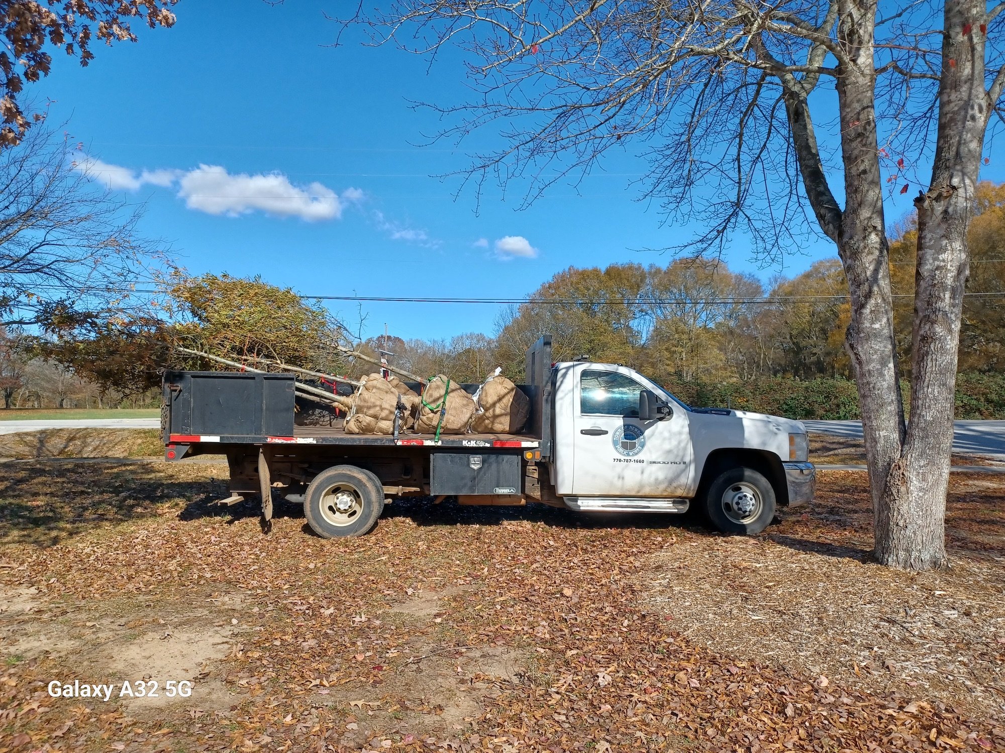 Cemetery Tree Planting 