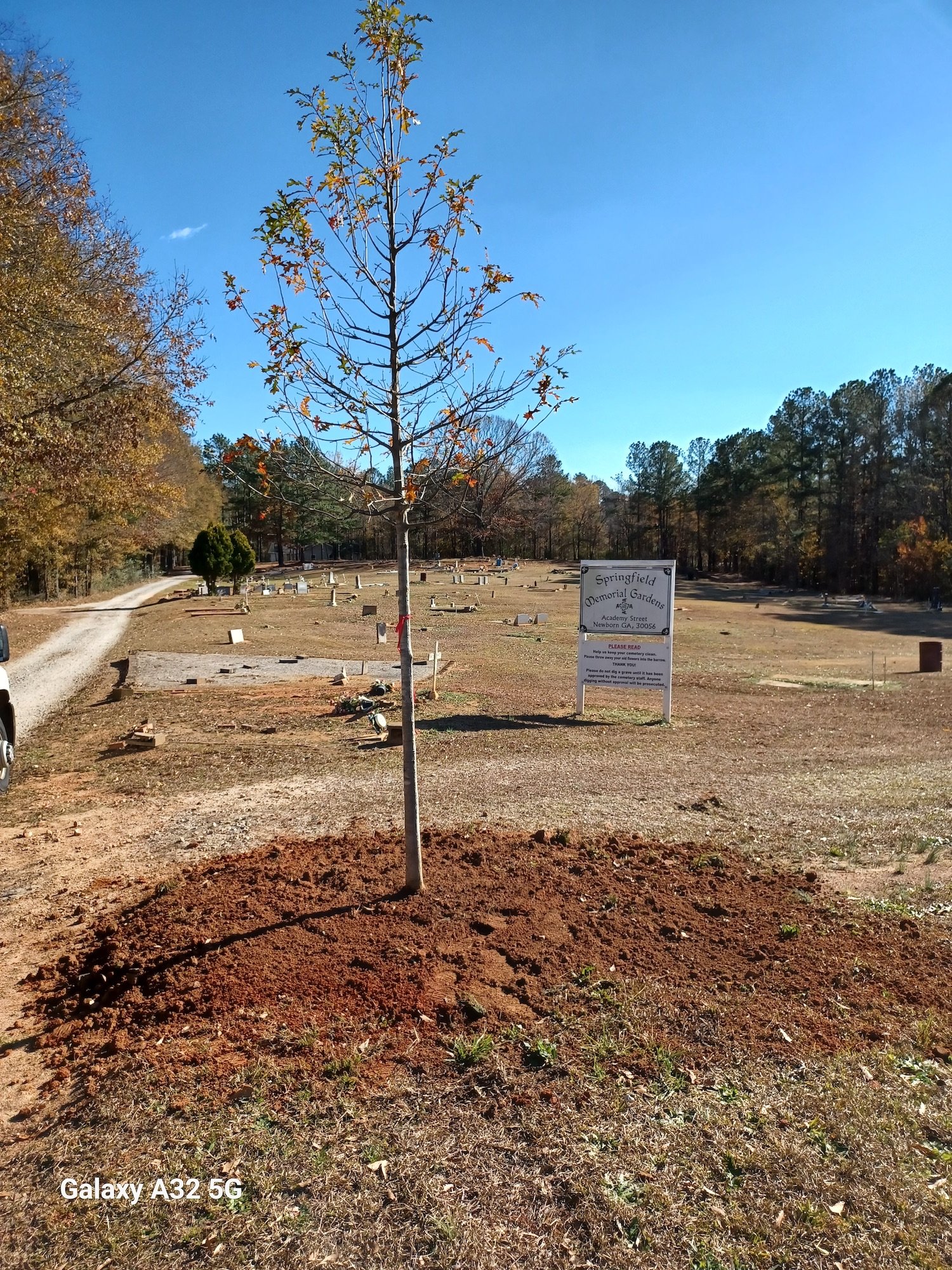 Cemetery Tree Planting 