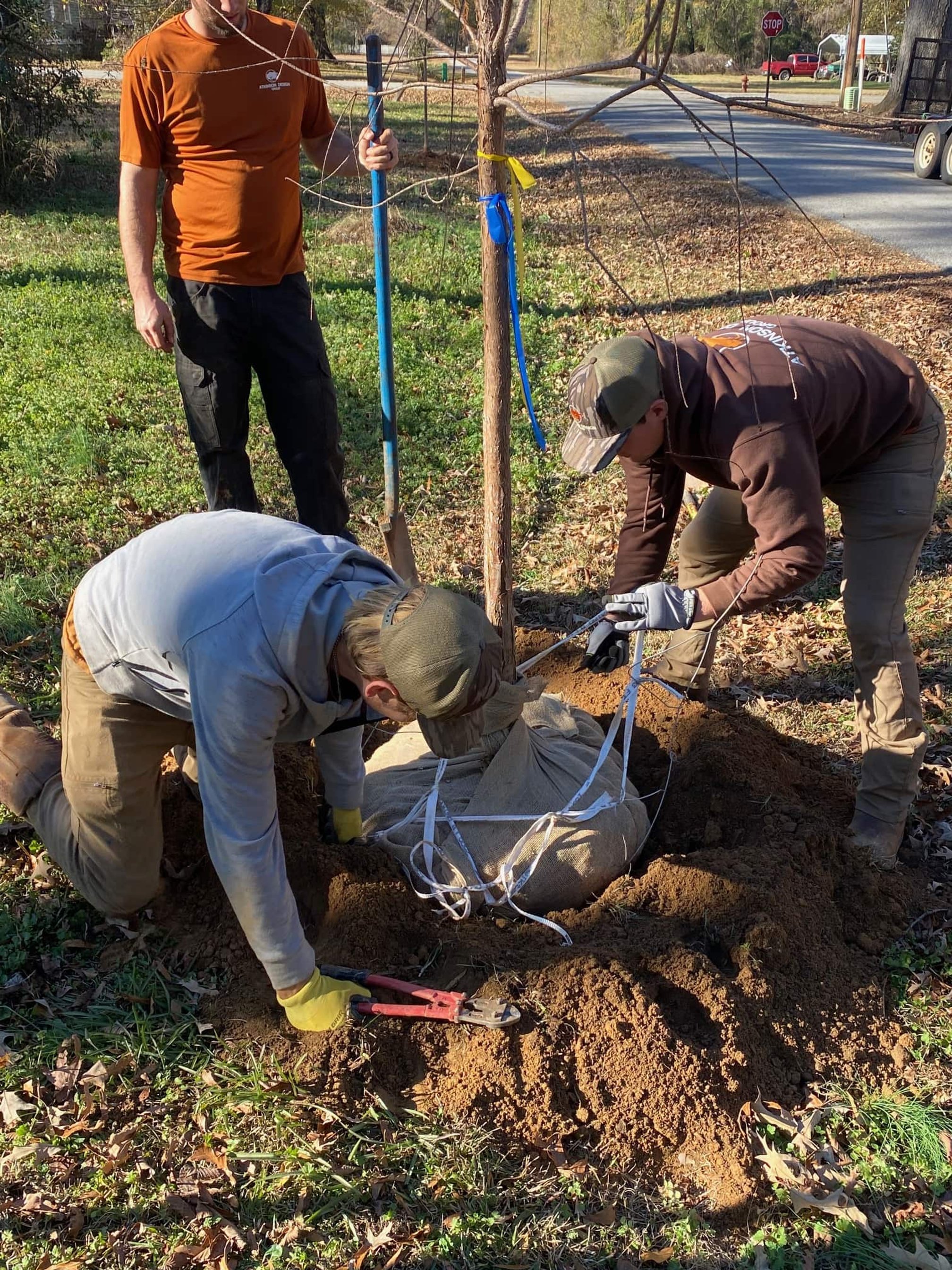 Georgia ReLeaf Planting 2026
