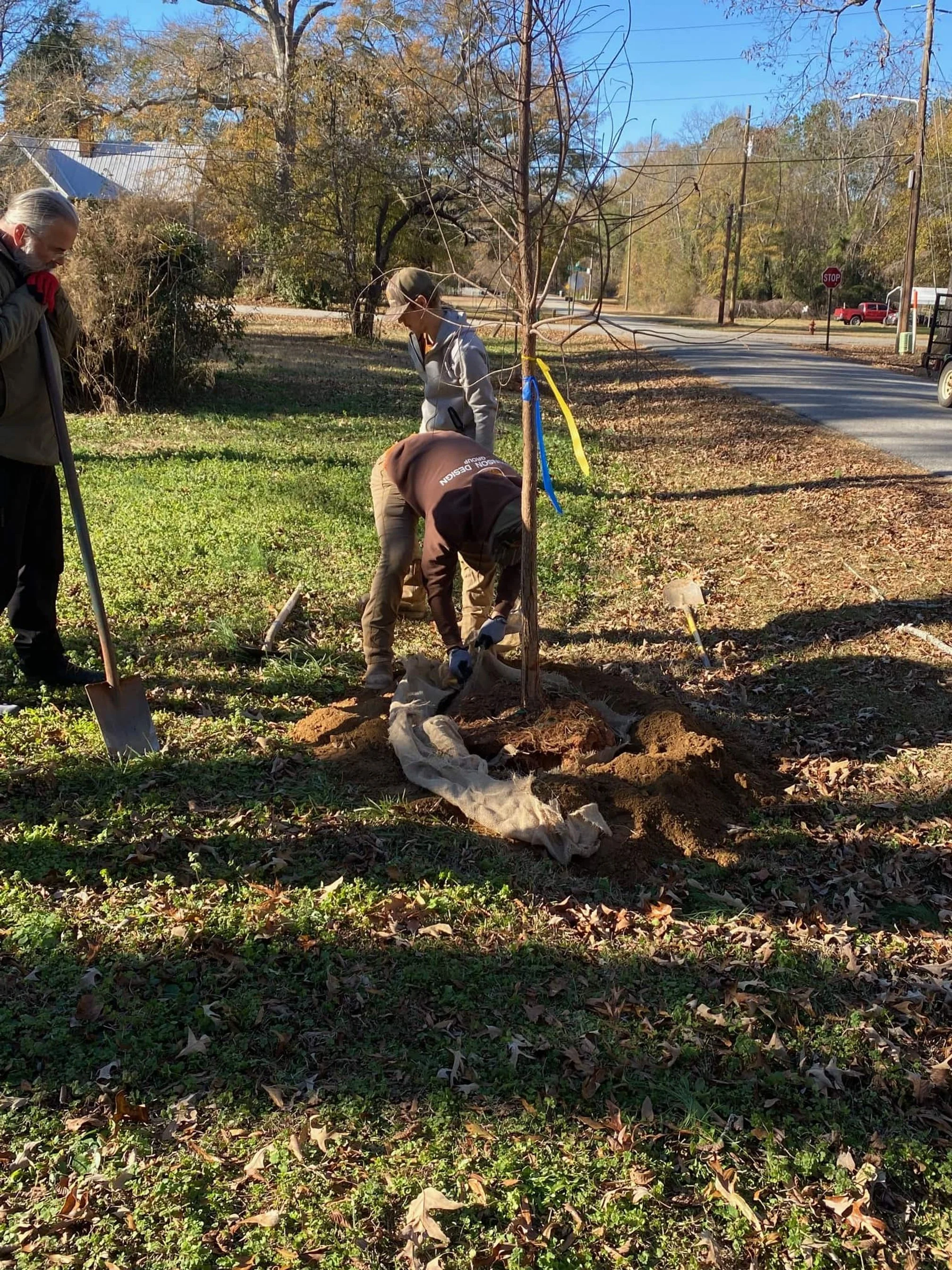 Georgia ReLeaf Planting 2026