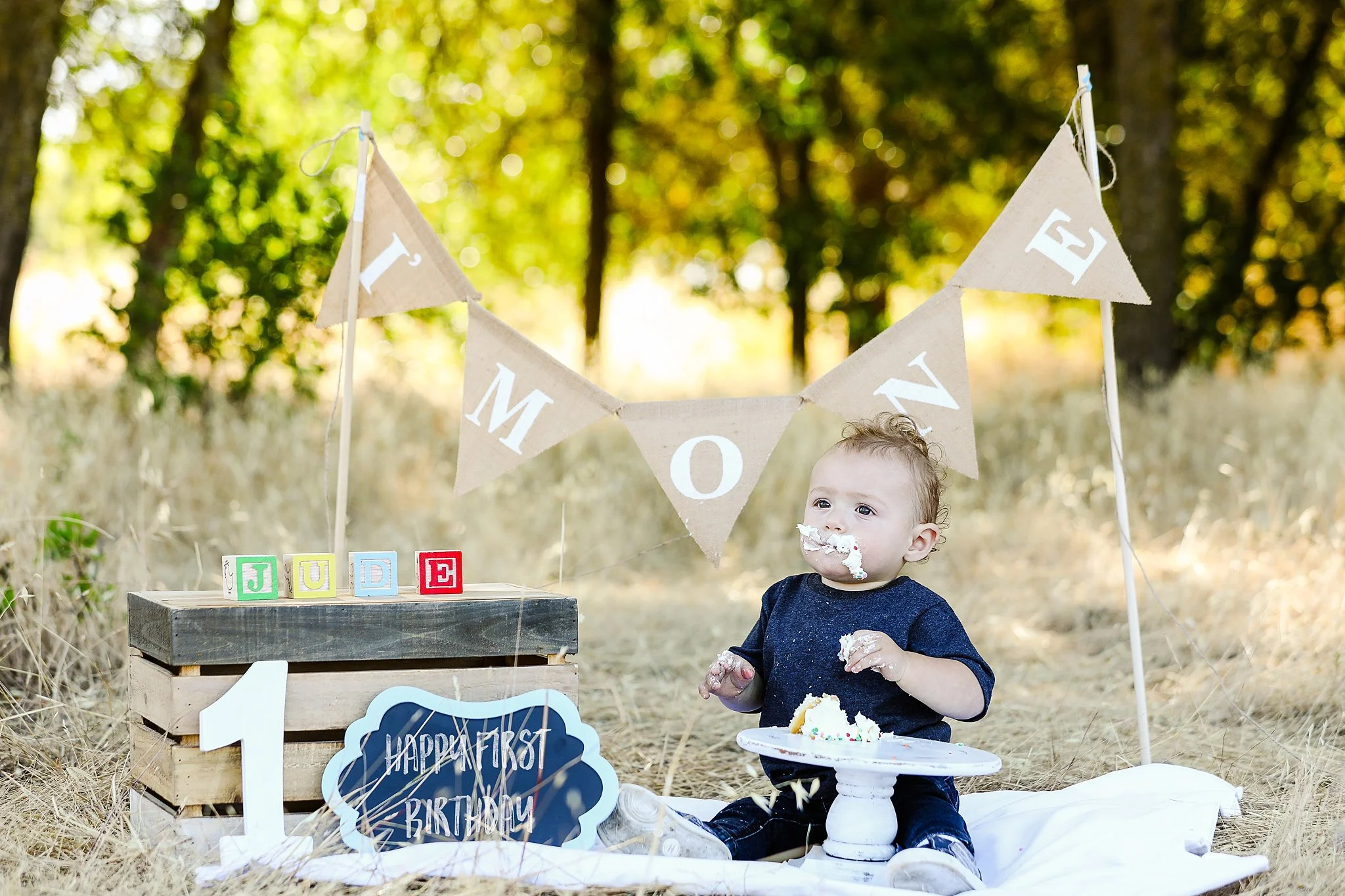 Outdoor first birthday cake smash with rustic wooden backdrop and one-year decor during a milestone session in Elk Grove, California.