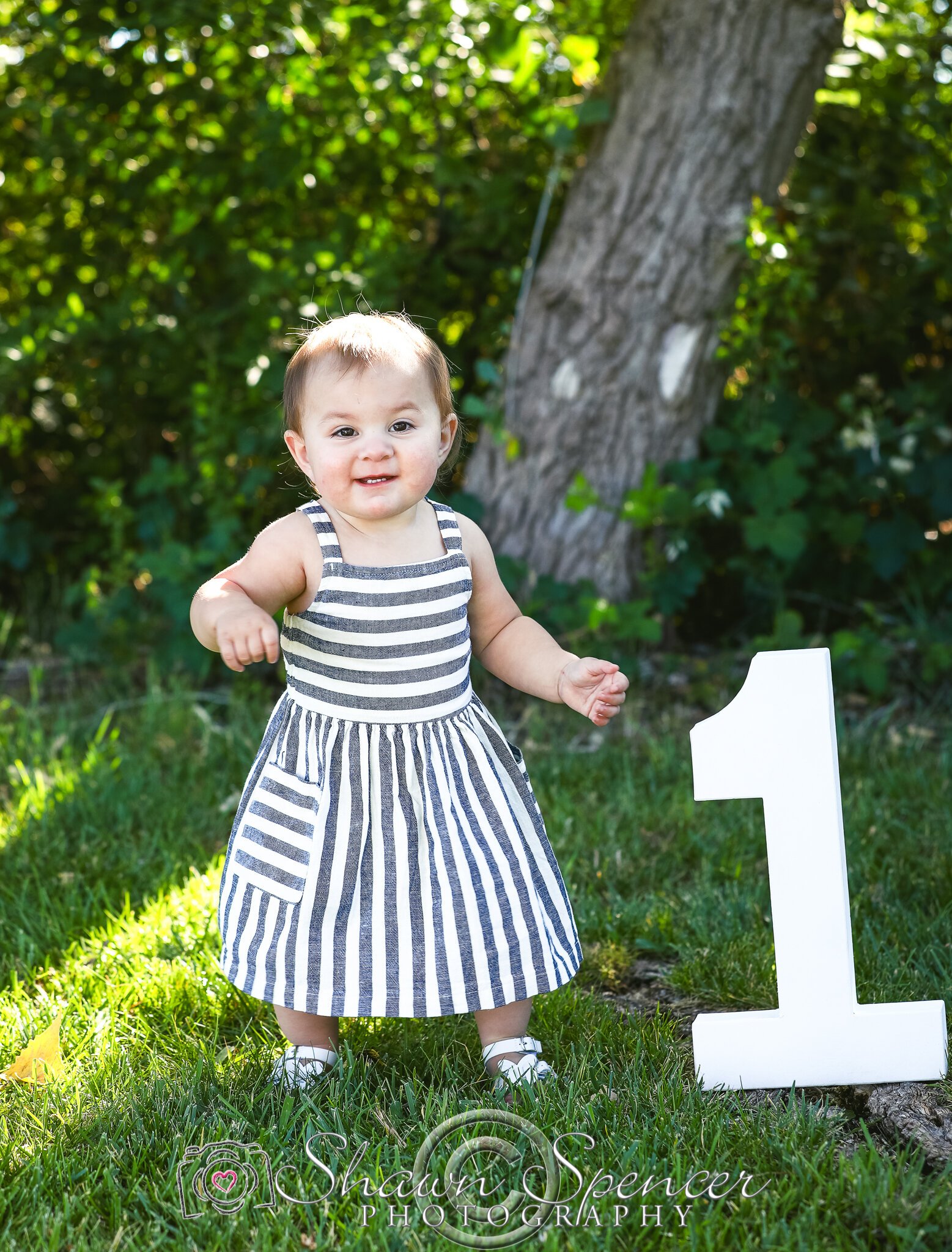 Mylah Medina's 1 year Cake Smash — Shawn Spencer Photography