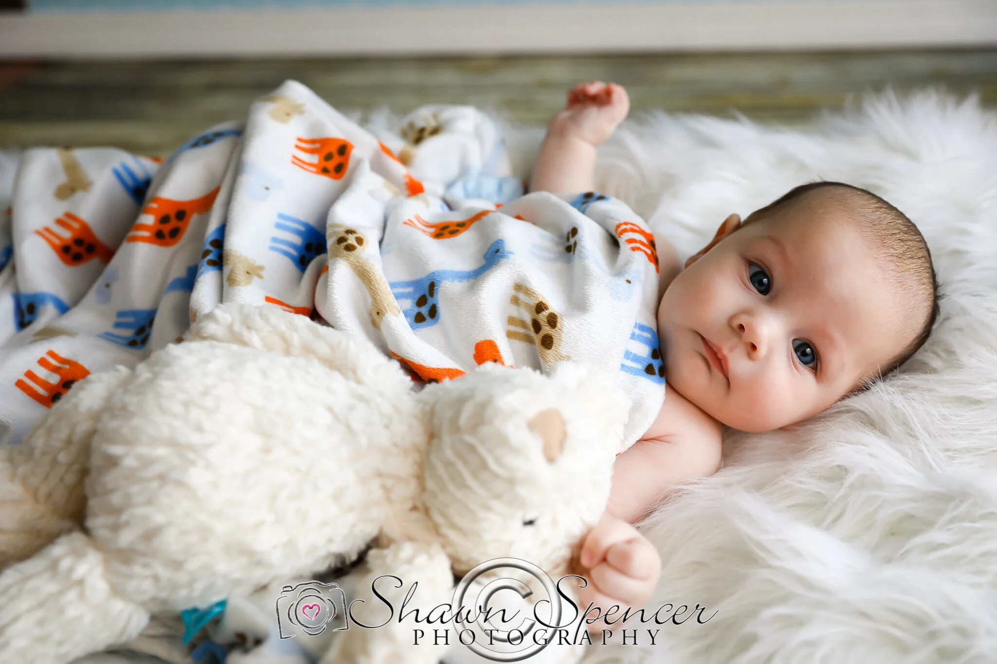 What is the Best Time to do Newborn Photos? — Shawn Spencer Photography