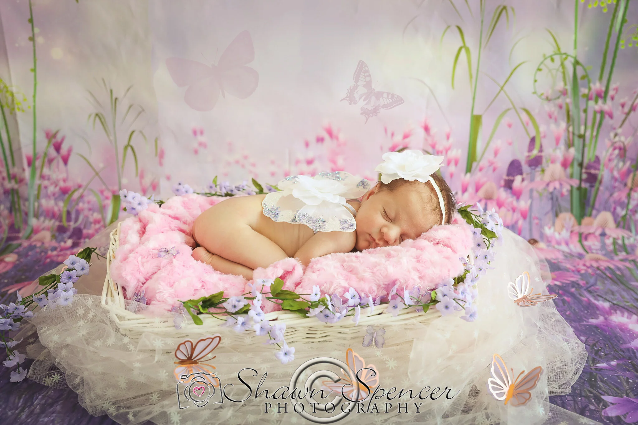 What is the Best Time to do Newborn Photos? — Shawn Spencer Photography