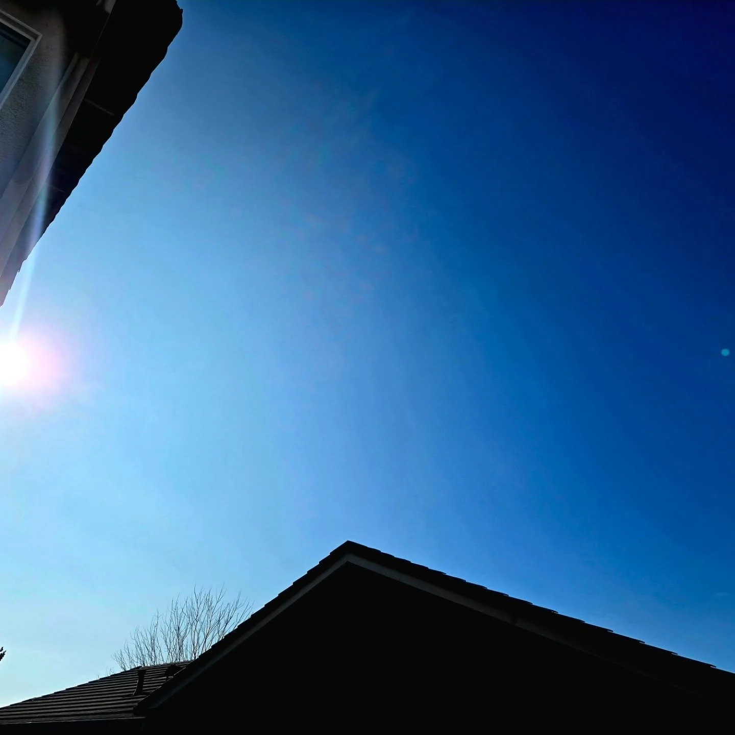 What do my wondering eyes see but glorious sun and happiness for me!!! The gloomy yuck over the last several weeks is out me in a funk but today im uplifted!!!! 🥰