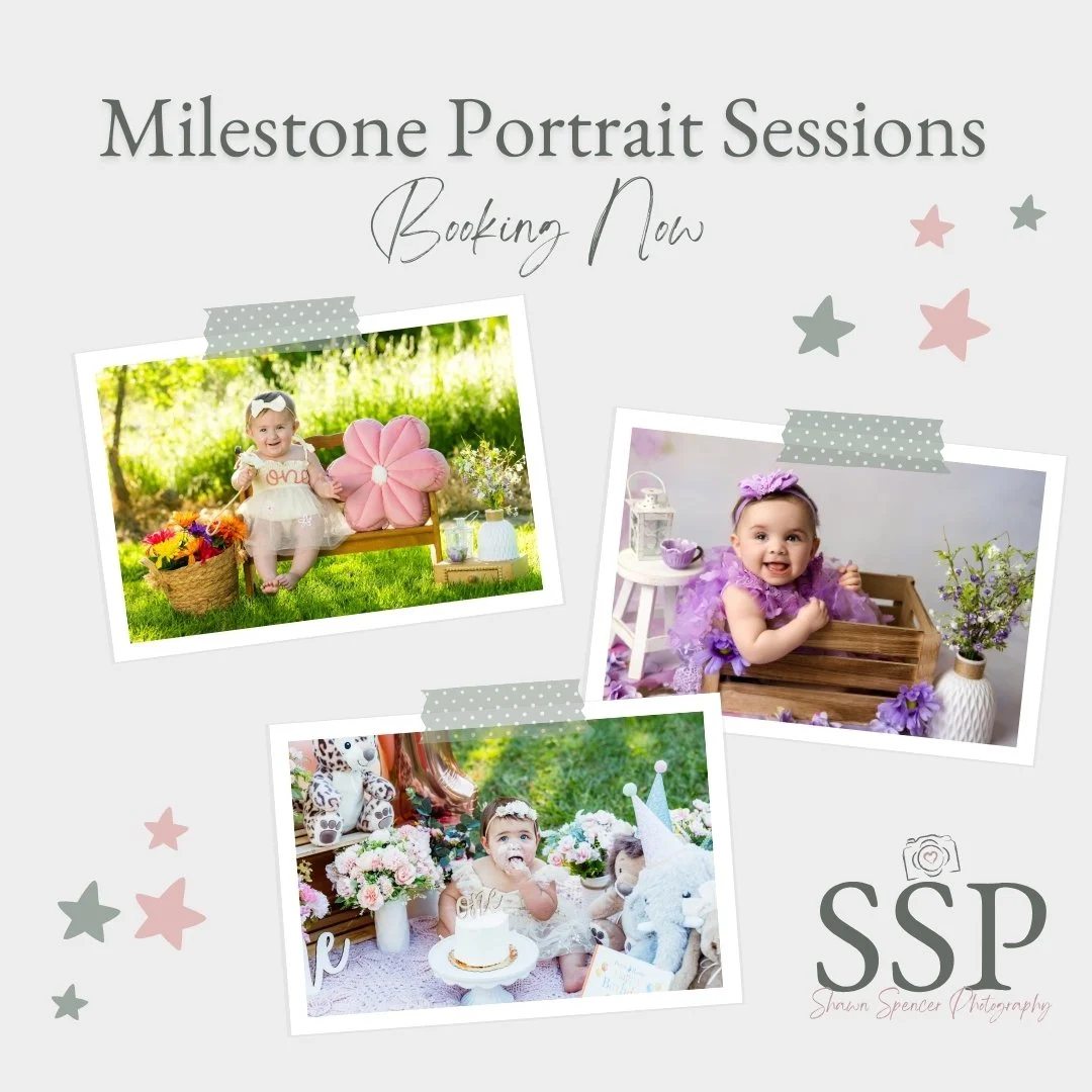 🎈 MILESTONE SESSIONS &mdash; NOW BOOKING

Babies grow and change so quickly &mdash; milestone sessions help preserve each stage. 🎈

Spring milestone sessions are perfect for:

1️⃣Sitting and crawling stages

2️⃣Personality-filled expressions

3️⃣Fi