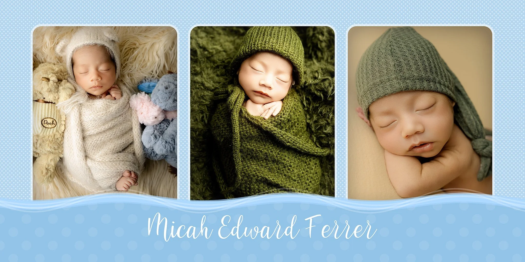 Storyboard from Micah Edward Ferrer's newborn photography session in Elk Grove featuring earthy green and neutral newborn portraits.