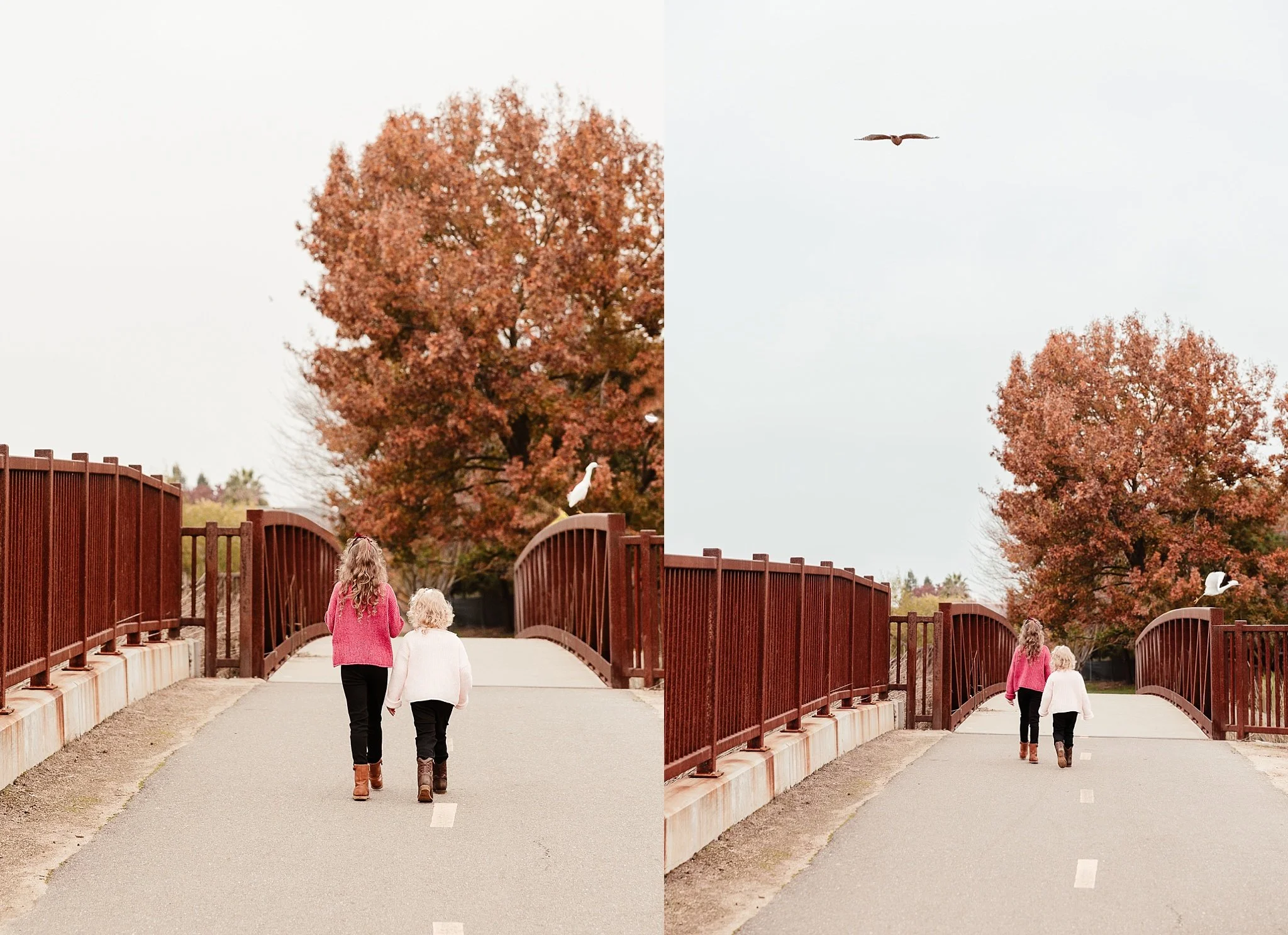 Sisters Bailey and Reagan walking together across a bridge with birds nearby during a fall family session