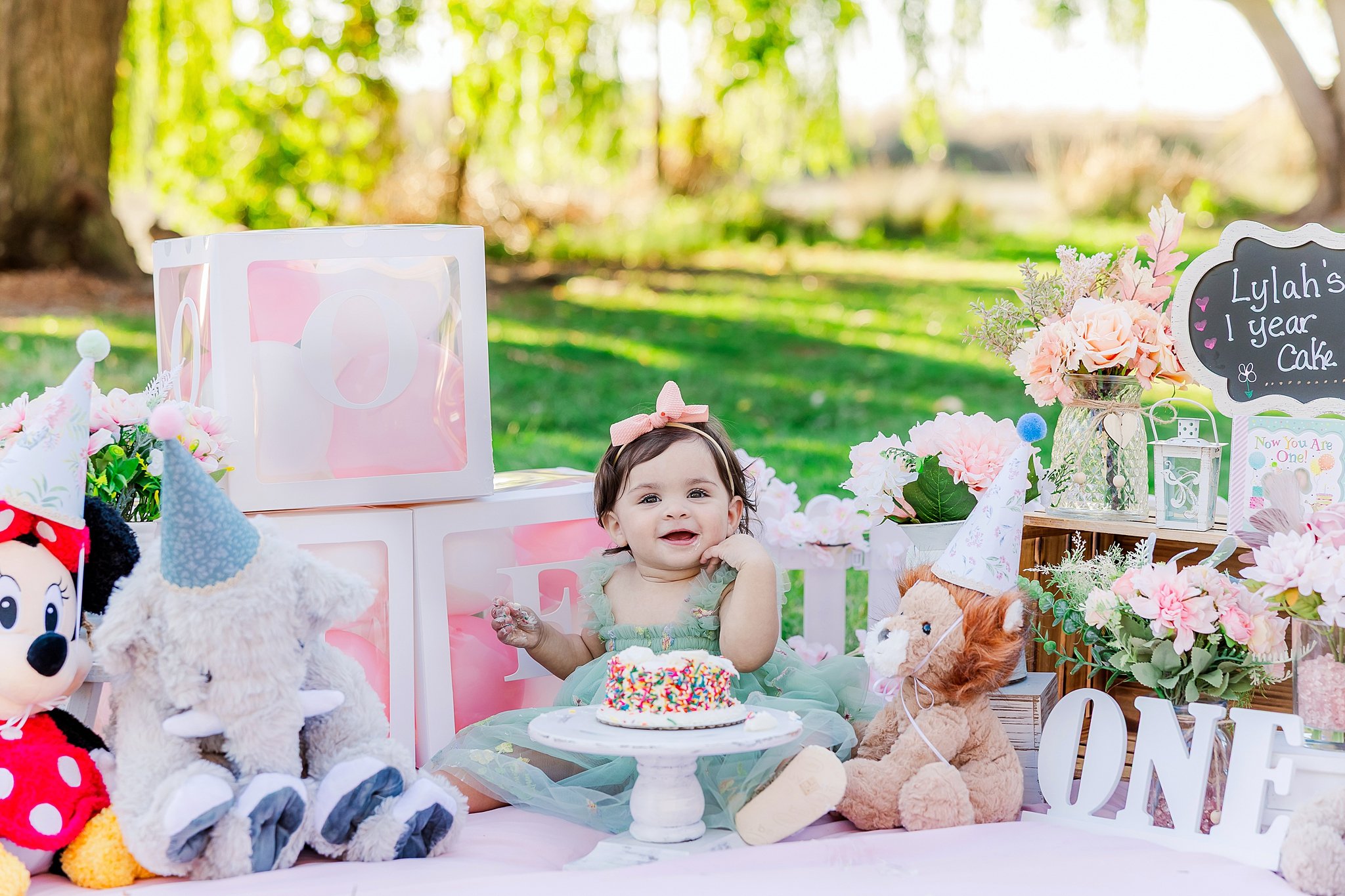 Outdoor first birthday cake smash session with pastel decor and stuffed animals photographed in Elk Grove, CA.